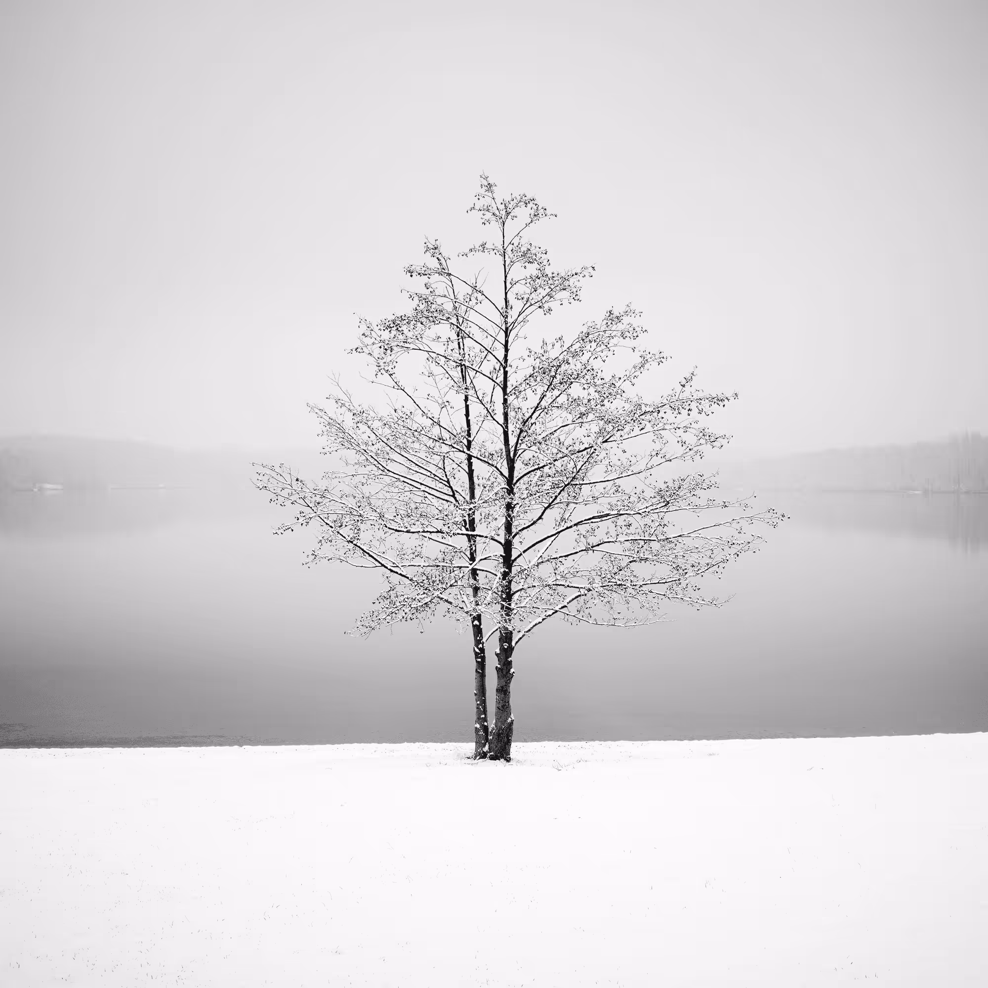 Sound of Silence #18