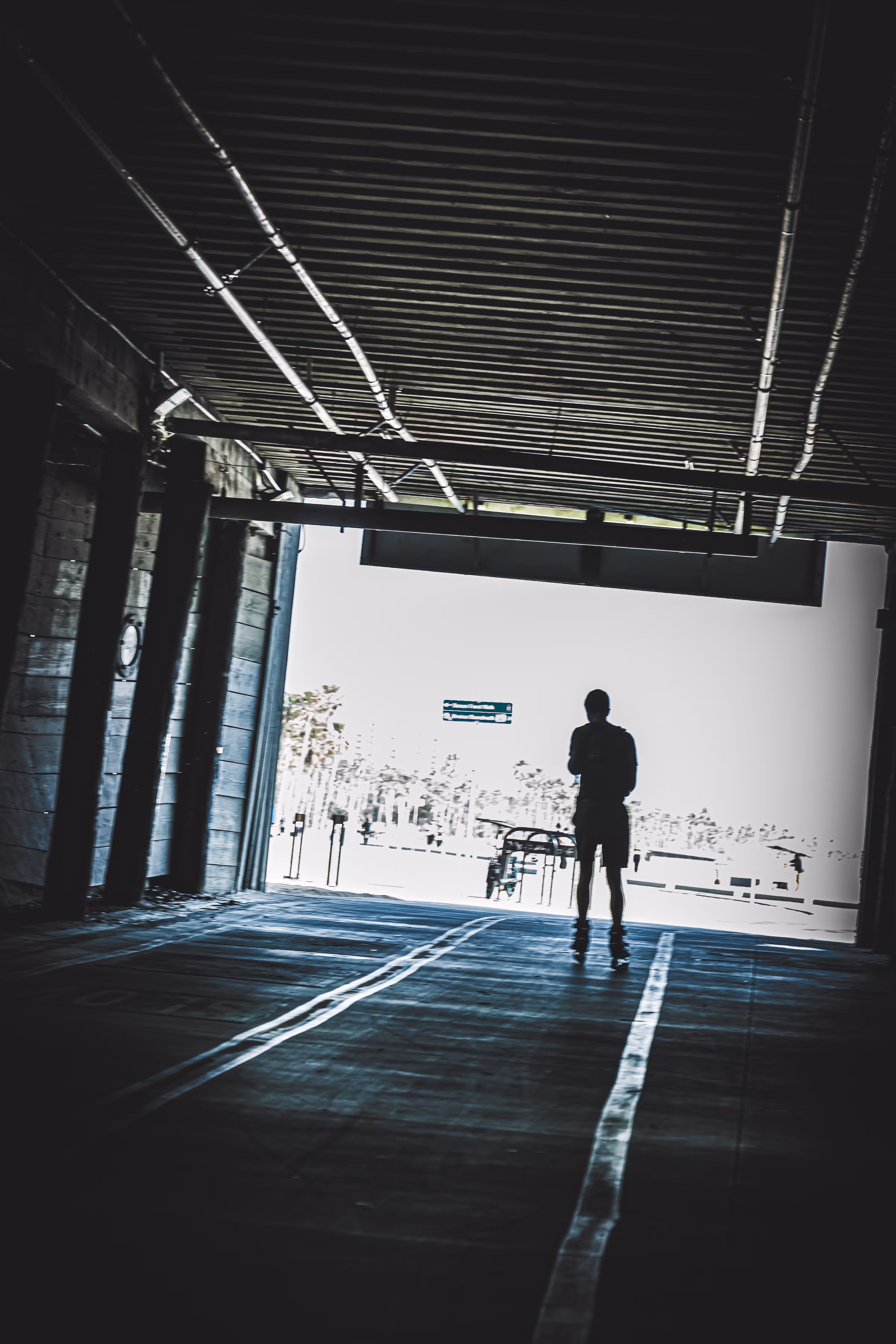 FotoChad Open Edition #6