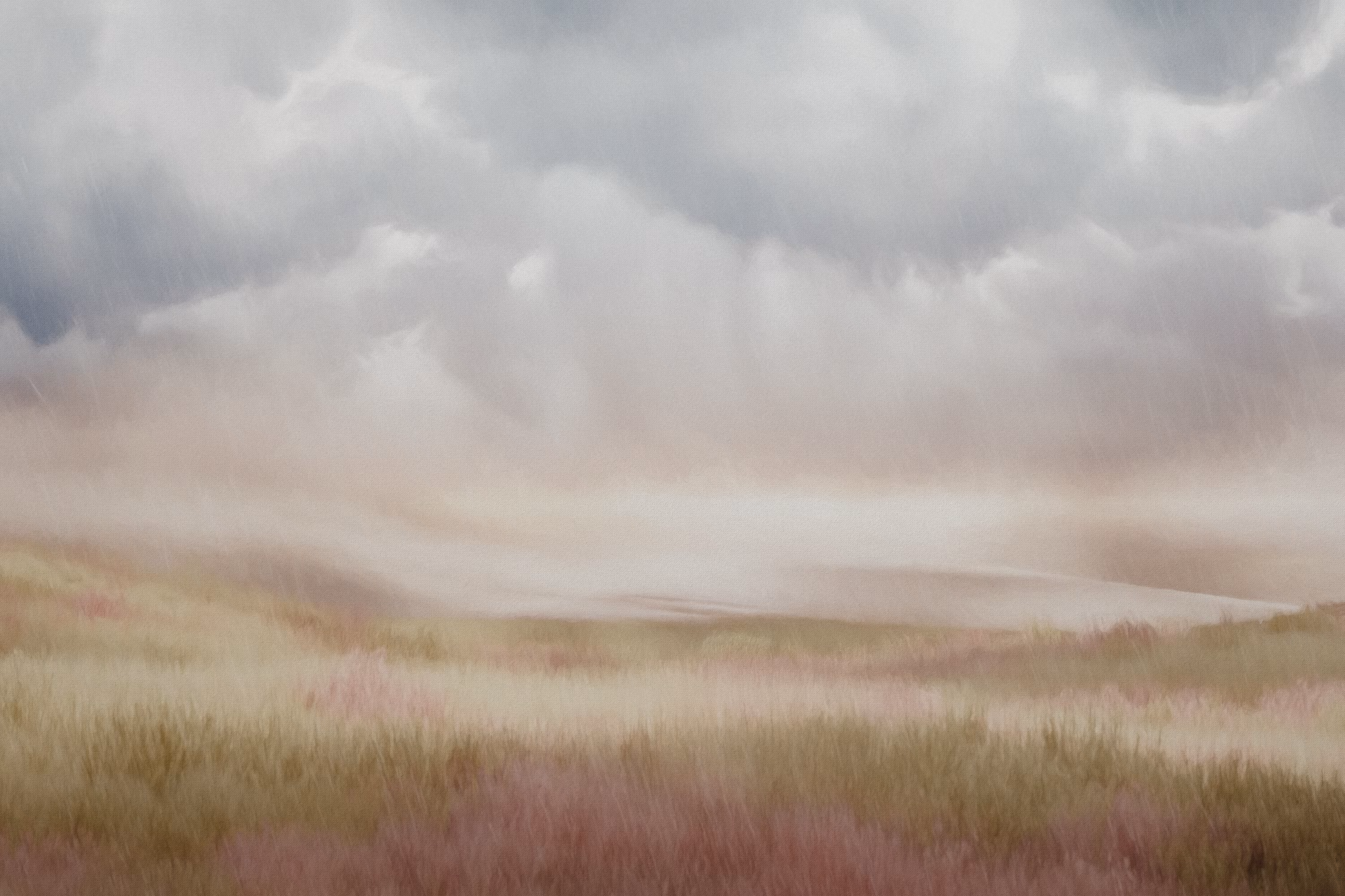 summer rain