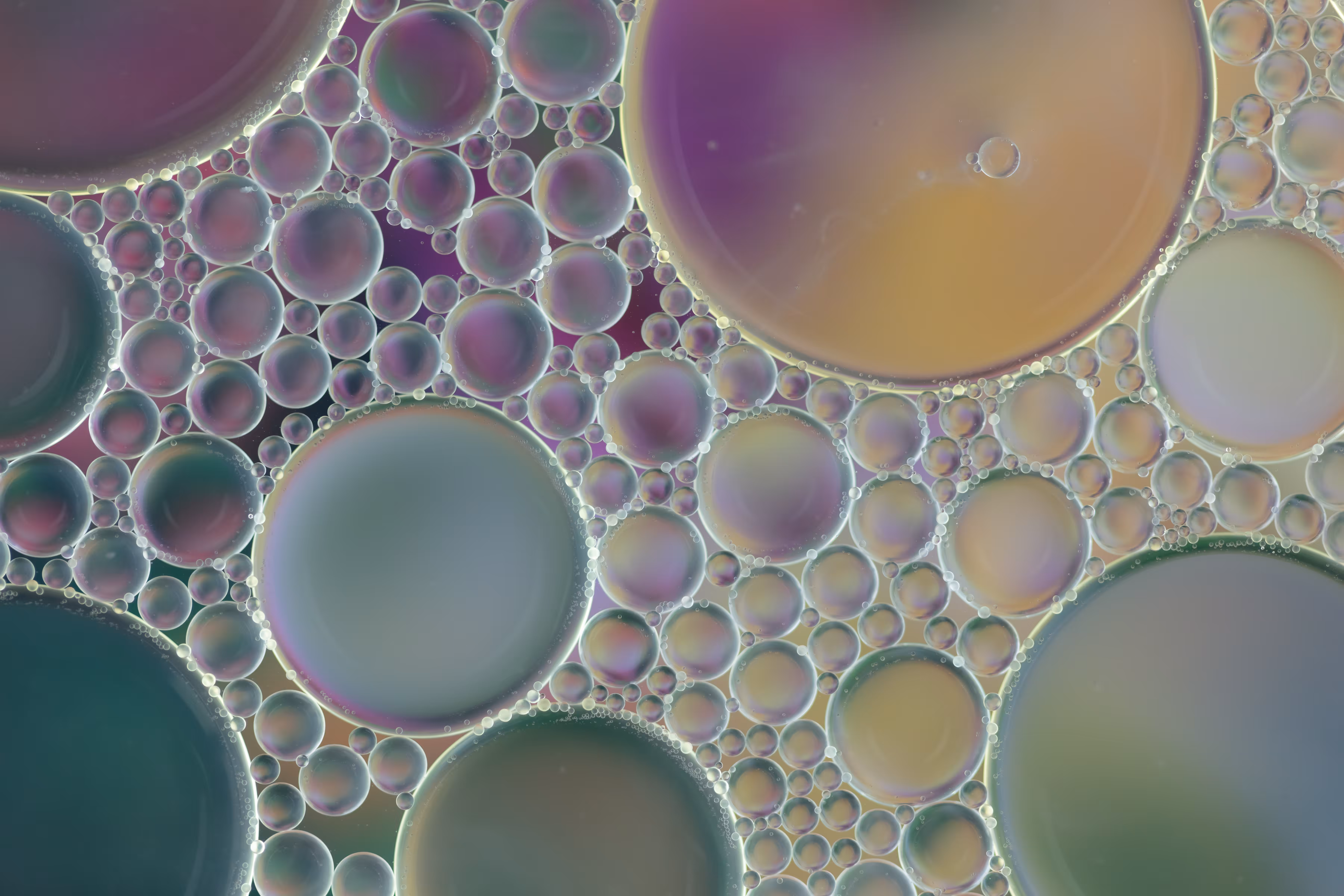 Purple Bubbles Universe