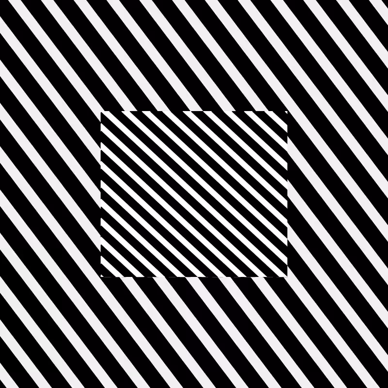 Chromatic dazzle #453