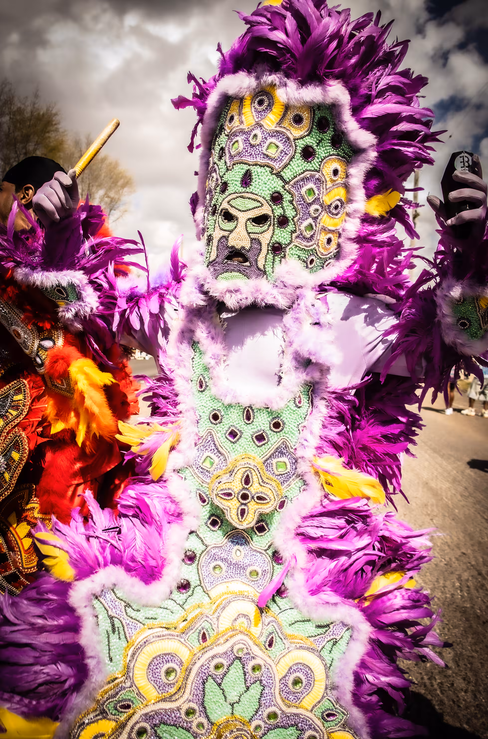 Culture Collection: My Culture Collection #051