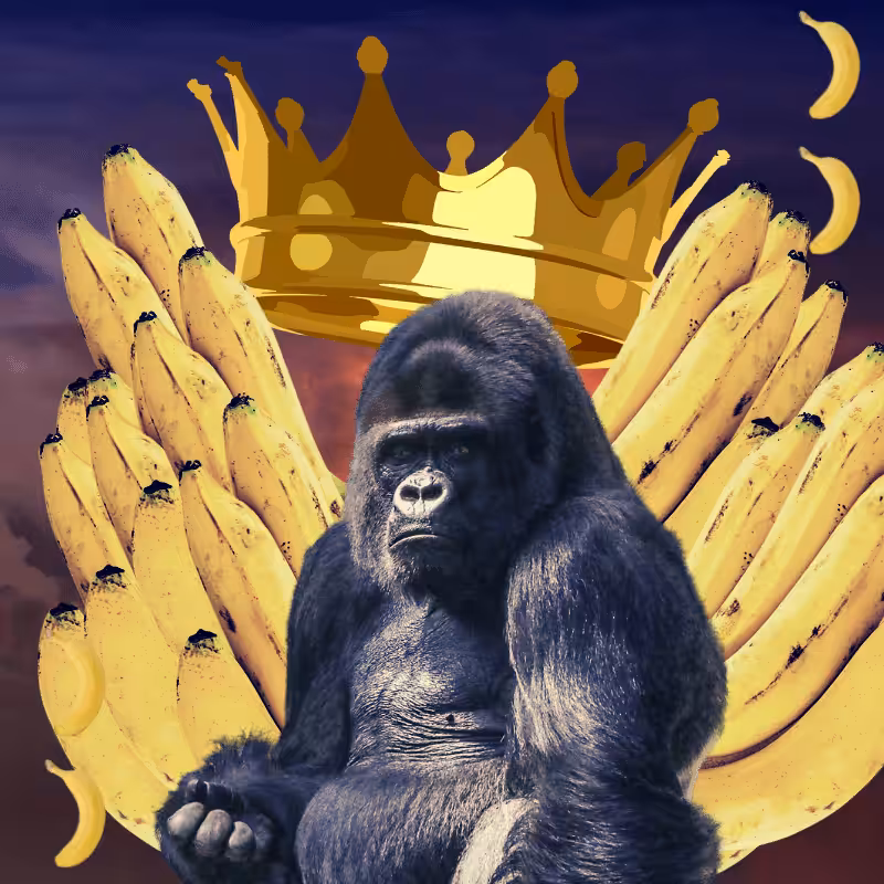 Banana gods #61