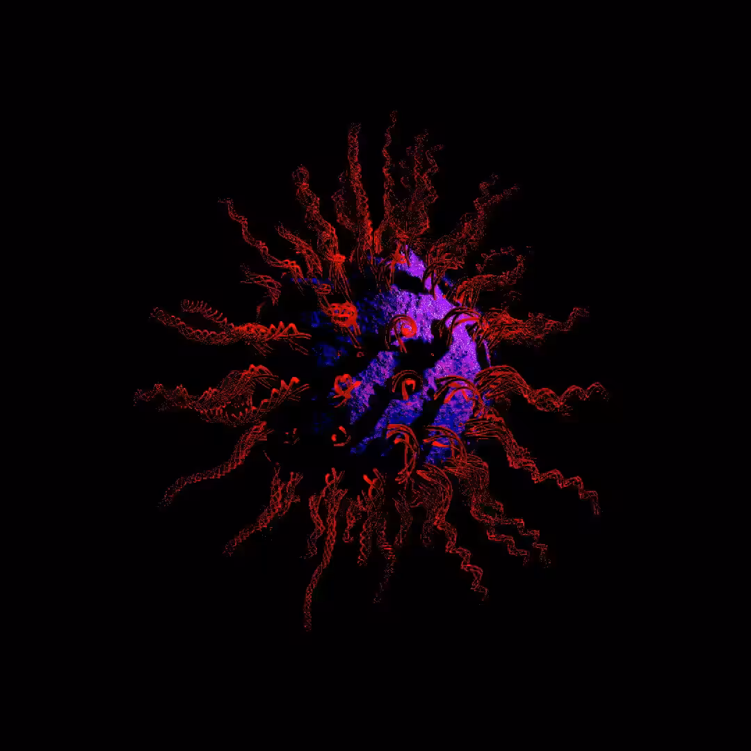 Infection