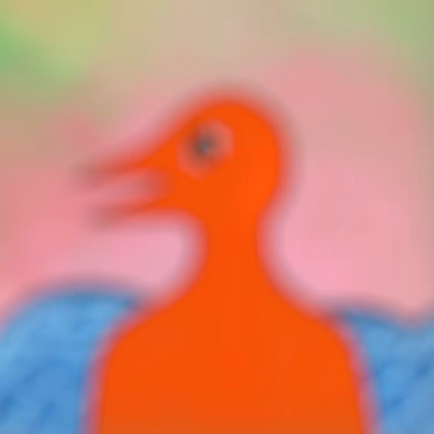 RED BIRD