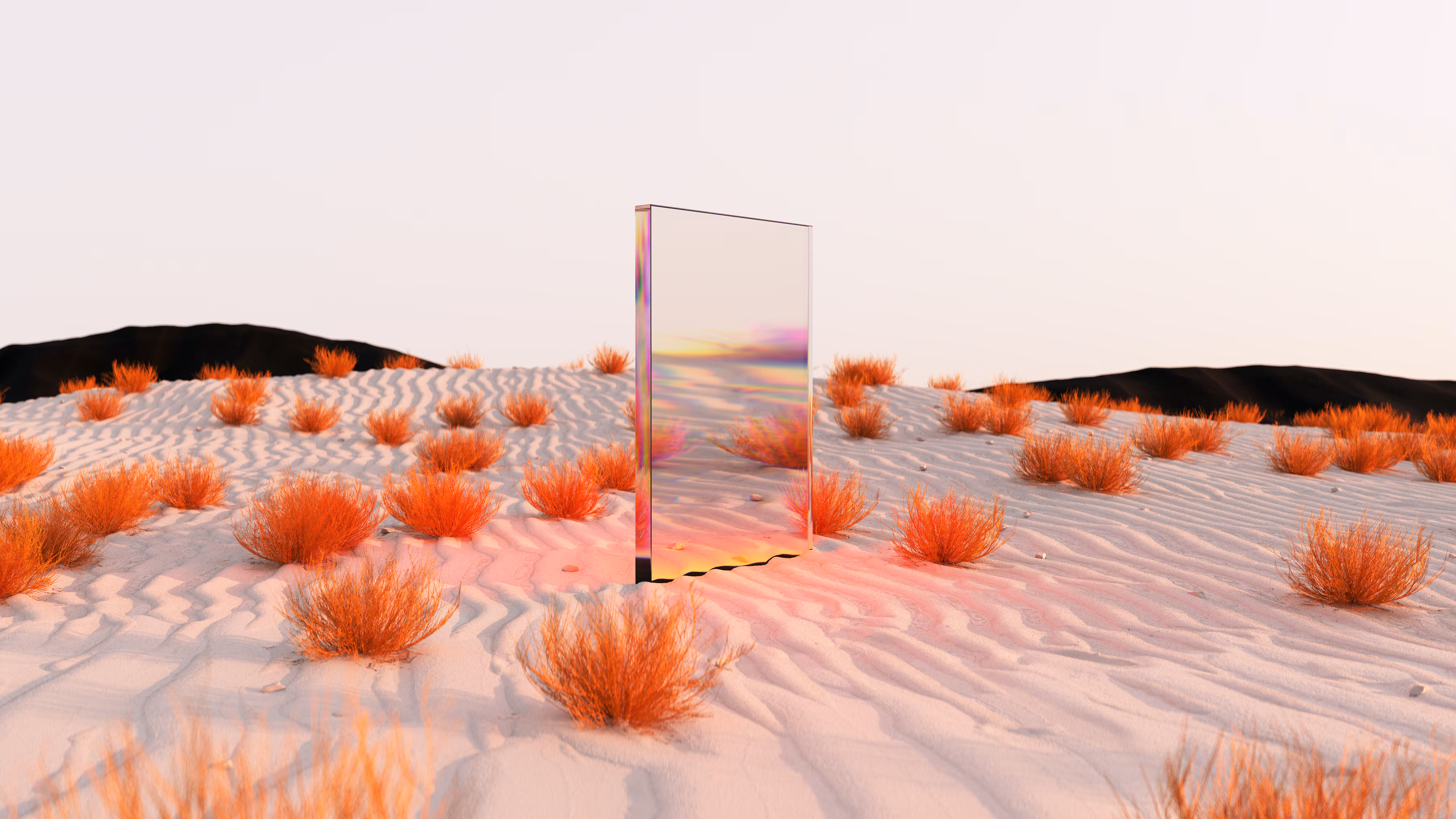 PORTAL #005