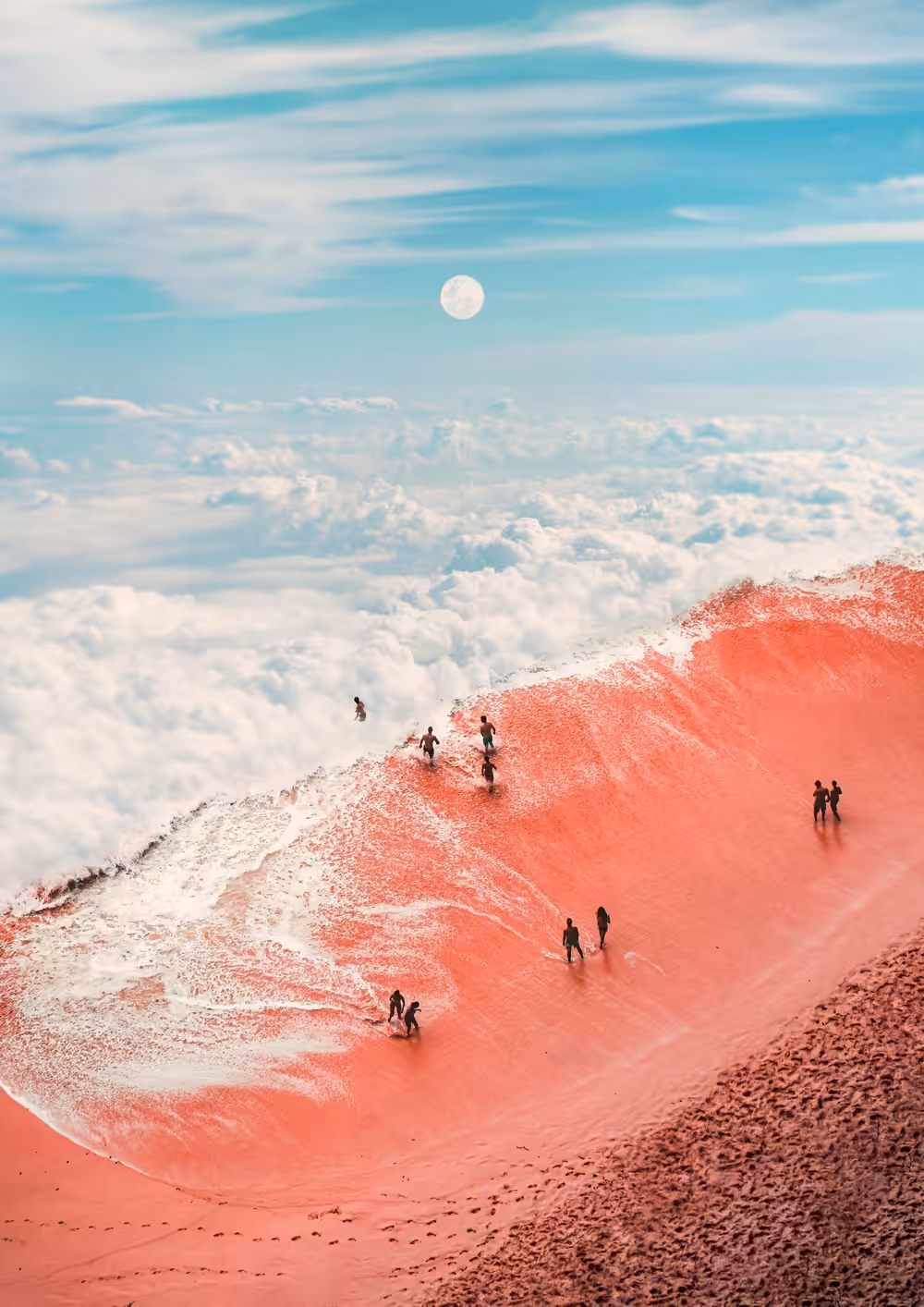 The Forever Sea