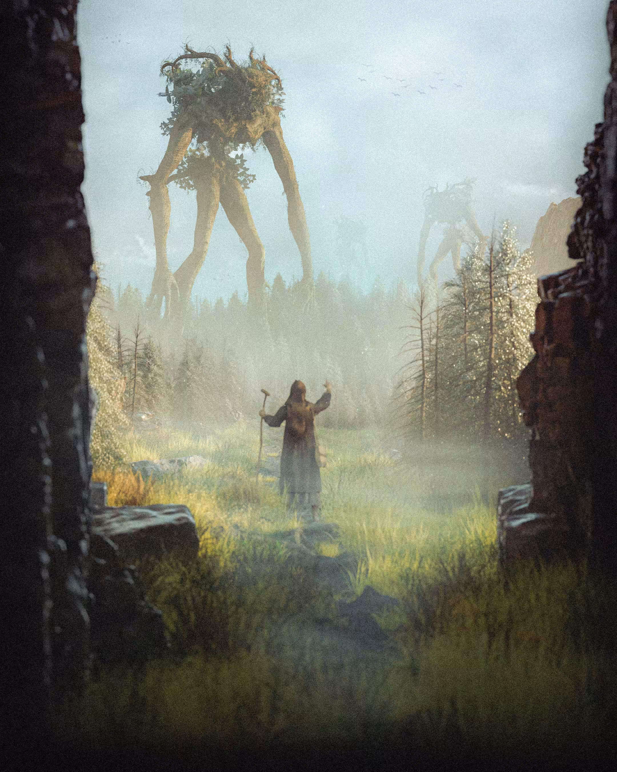 The Dark Forest