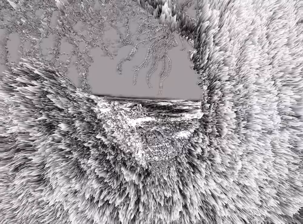 Waves