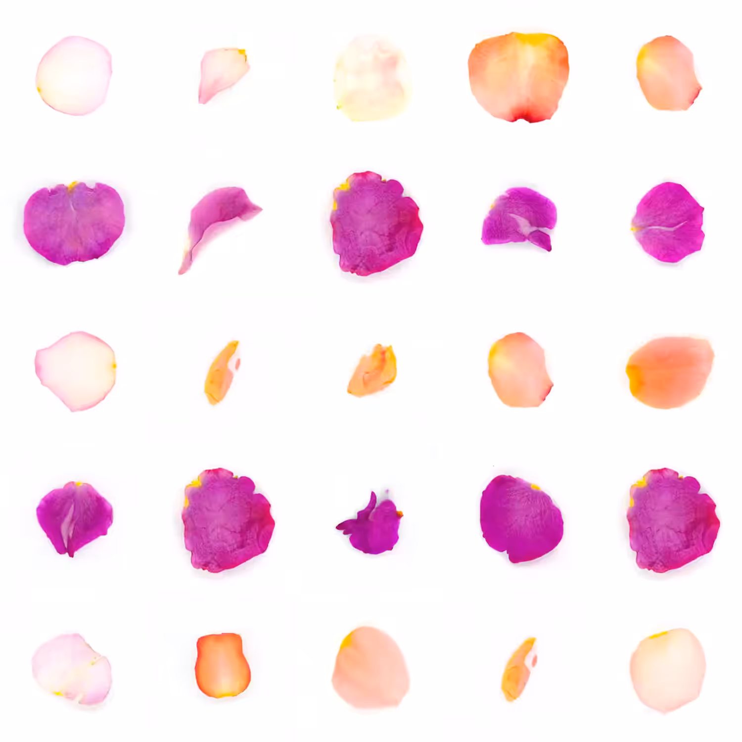 Infinite Petals 5x5#2601