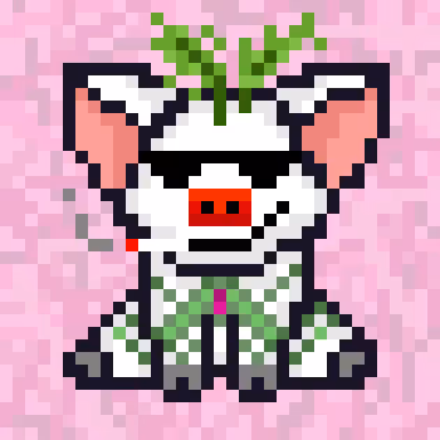 Punk Pig #03273