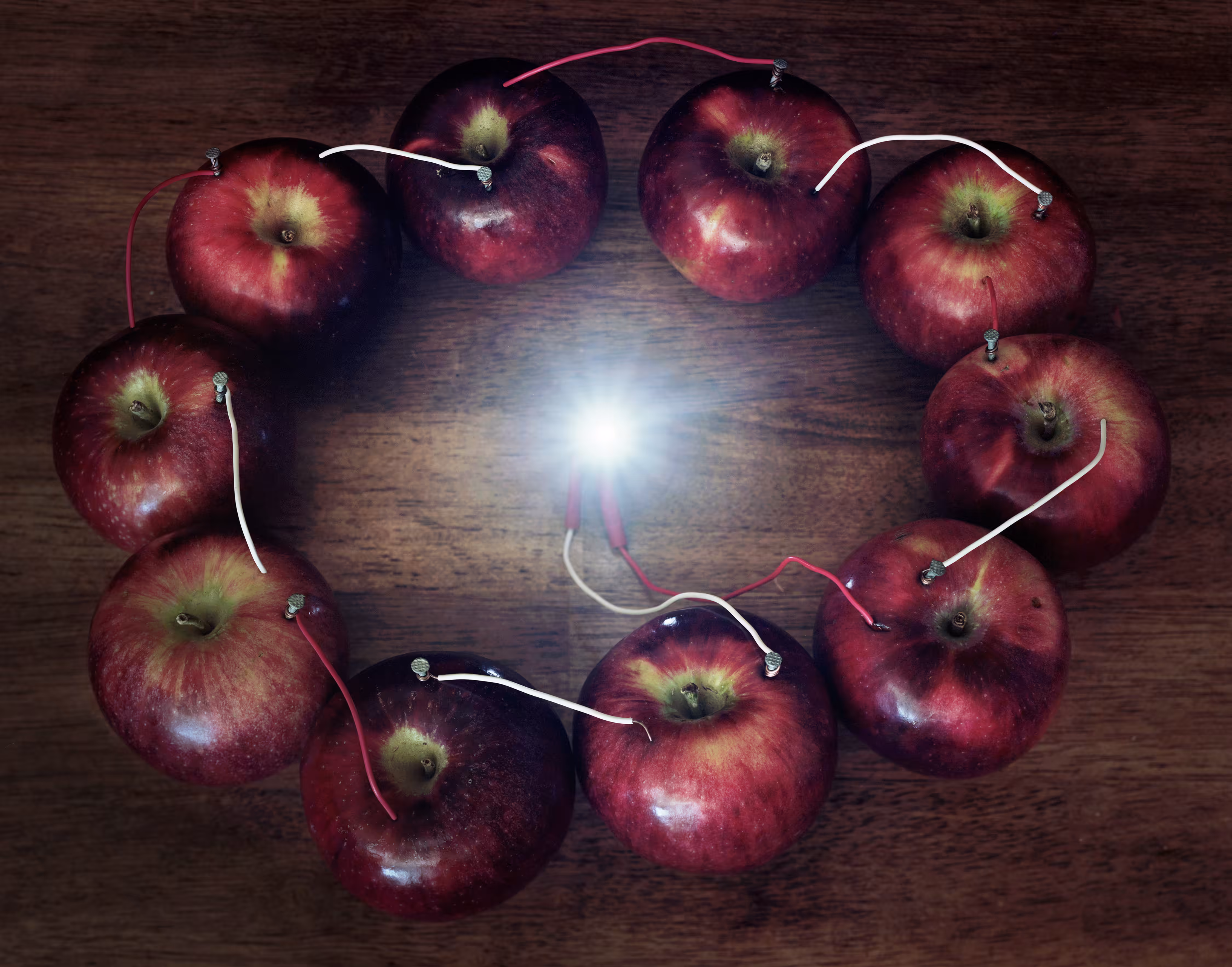 Back to Light - Electricity From a Ring of Apples, 2013