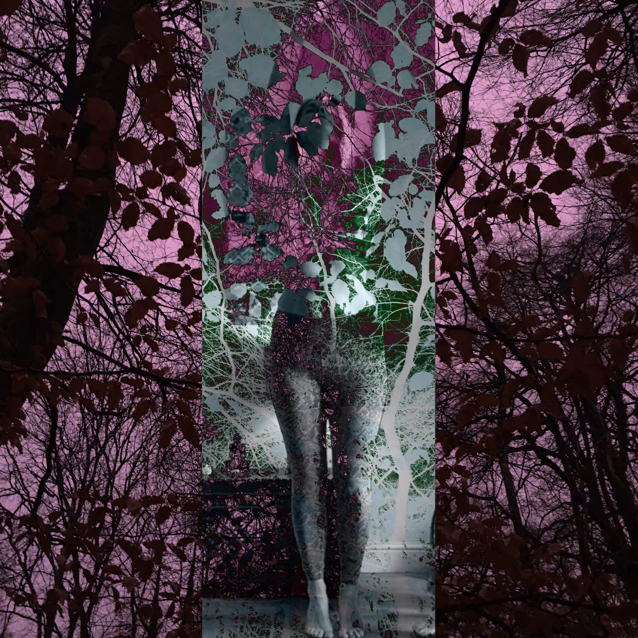 Dark Forest #9