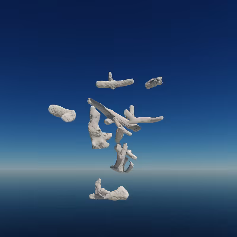 Bone Work (Gulf of Mexico) 2022 #64
