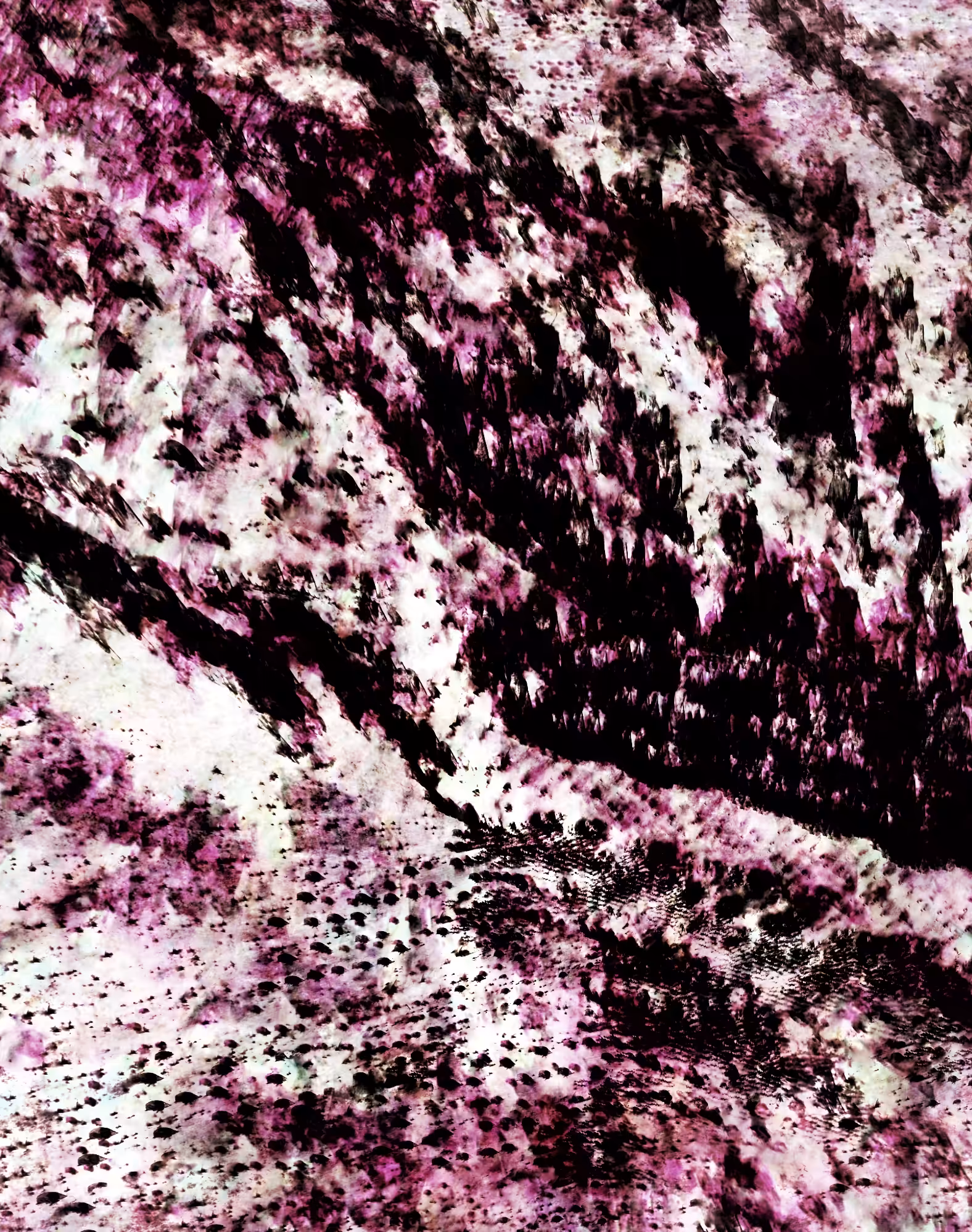 Teenage Nervous Breakdown [XII]