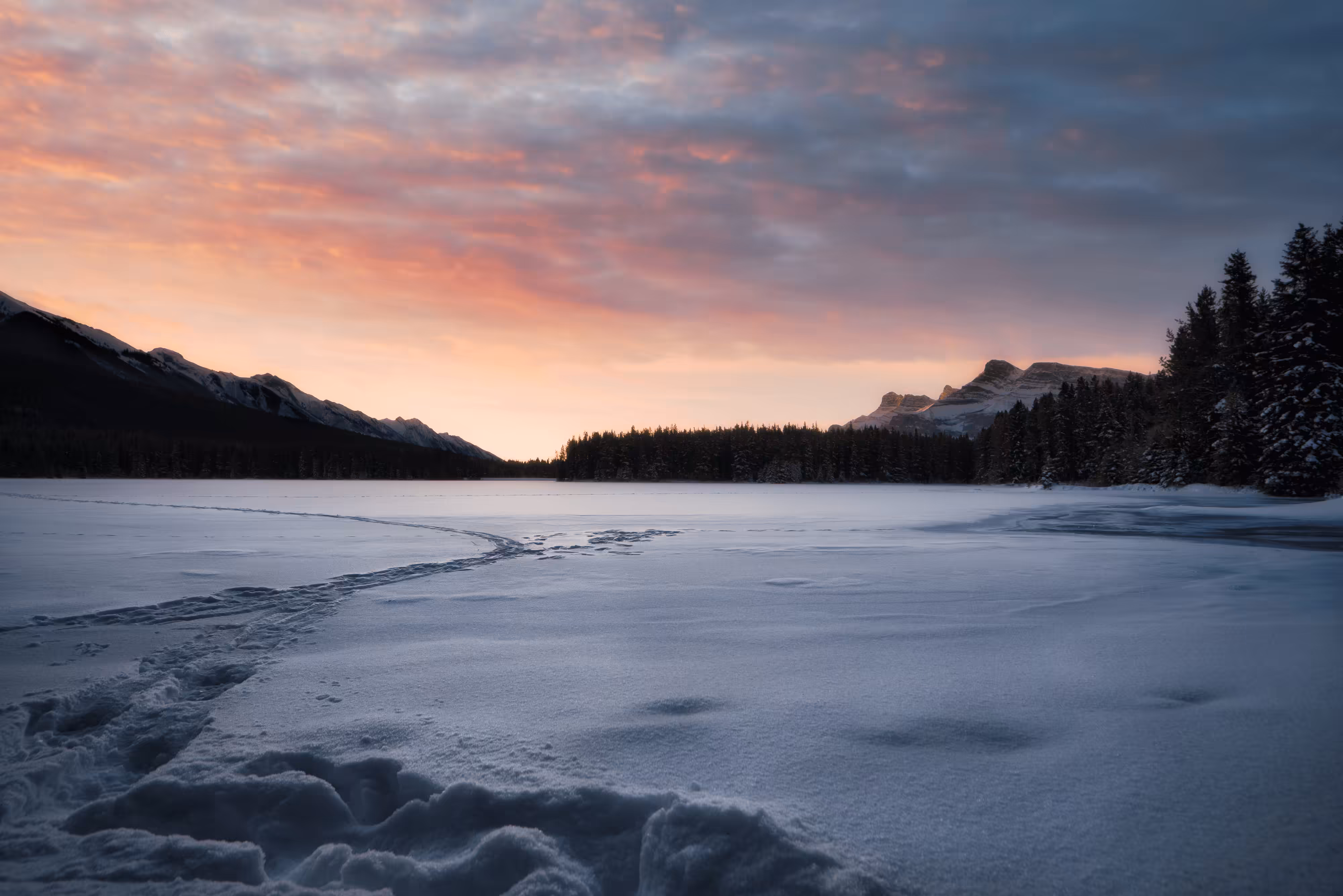 Winter Solitude