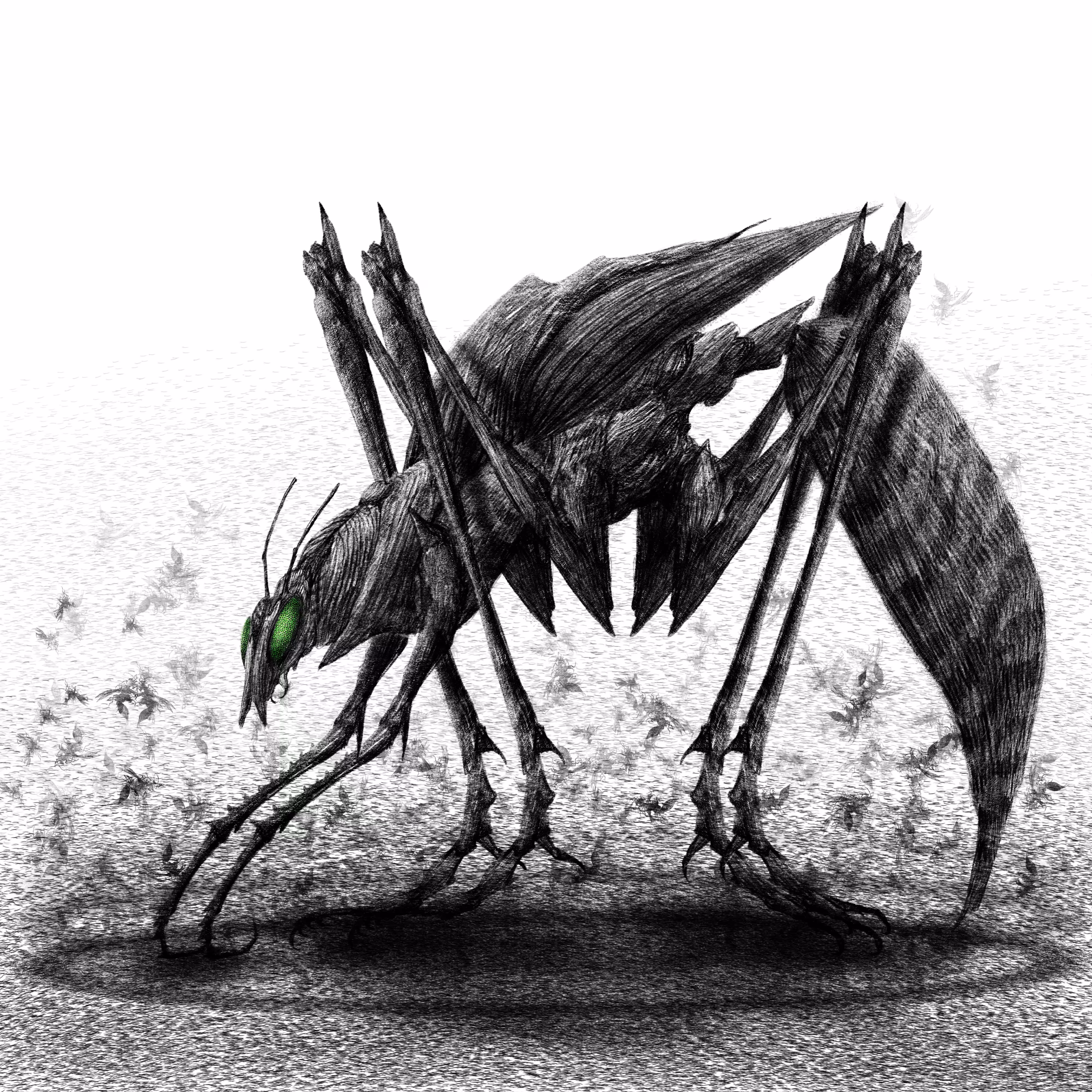 THE INSECTS: WINGLESS WASP 