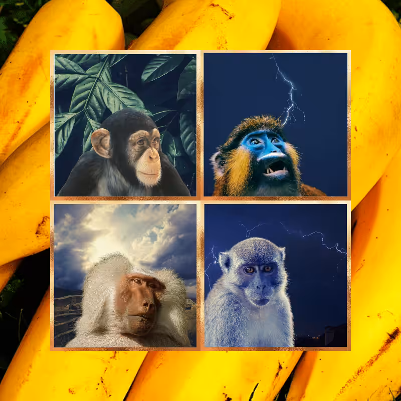 Banana legends #15