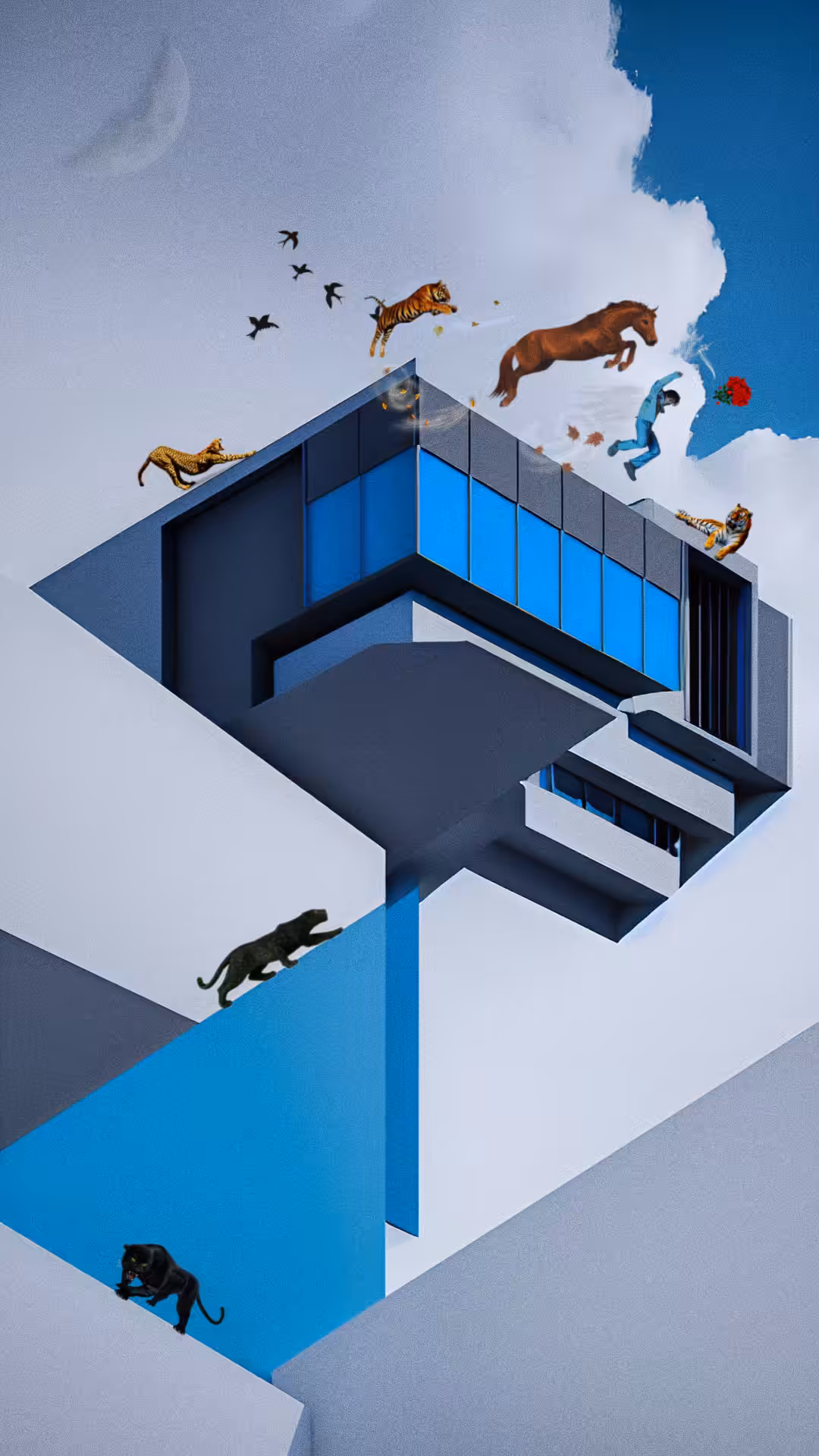 The Escape 
