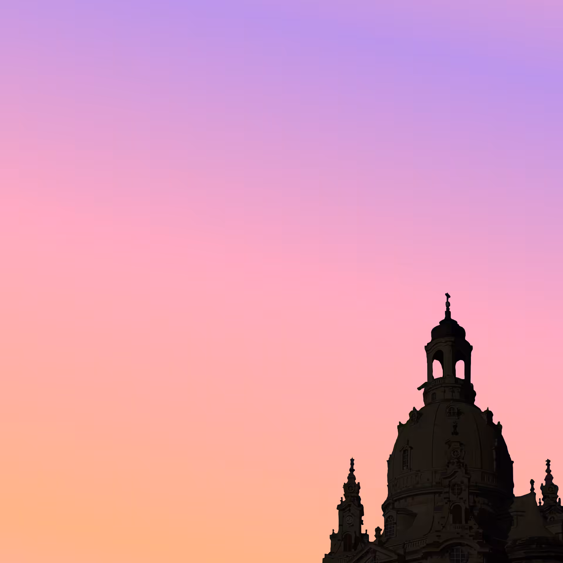 The.pink.hood Dresden