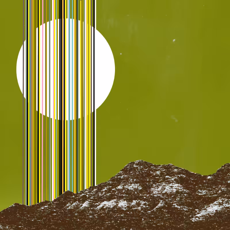 collage #1  from nature #17