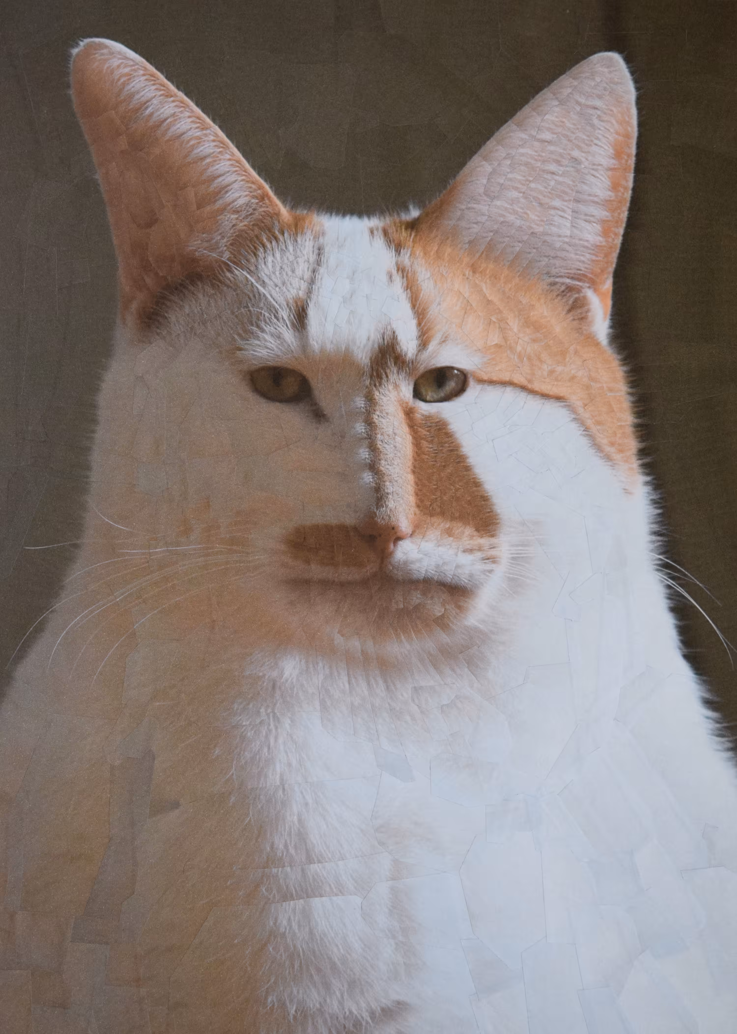 Charlie revisited