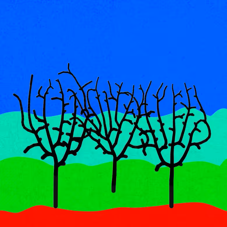 Growth #14