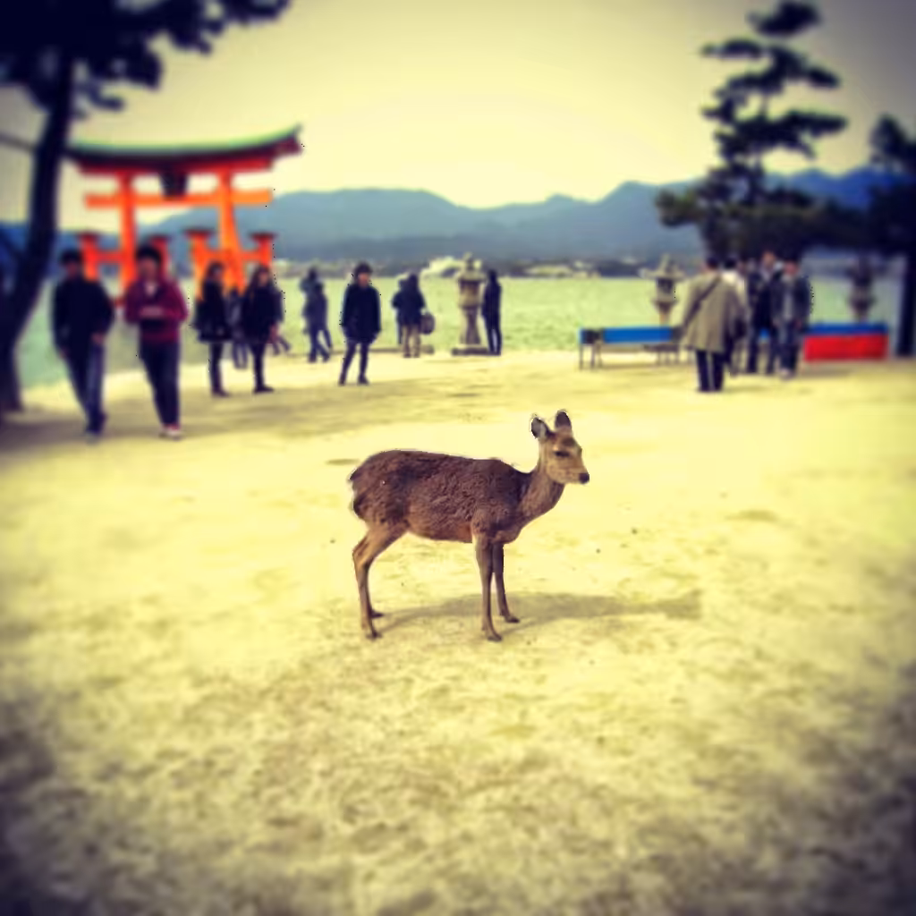 Alone in Japan