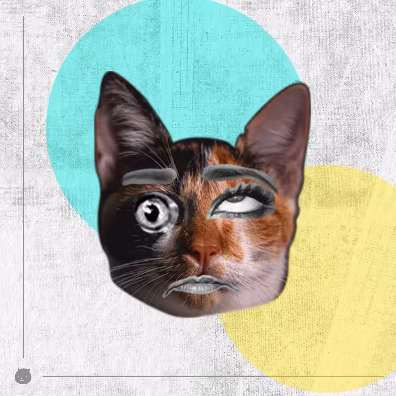 Kittenstein #5