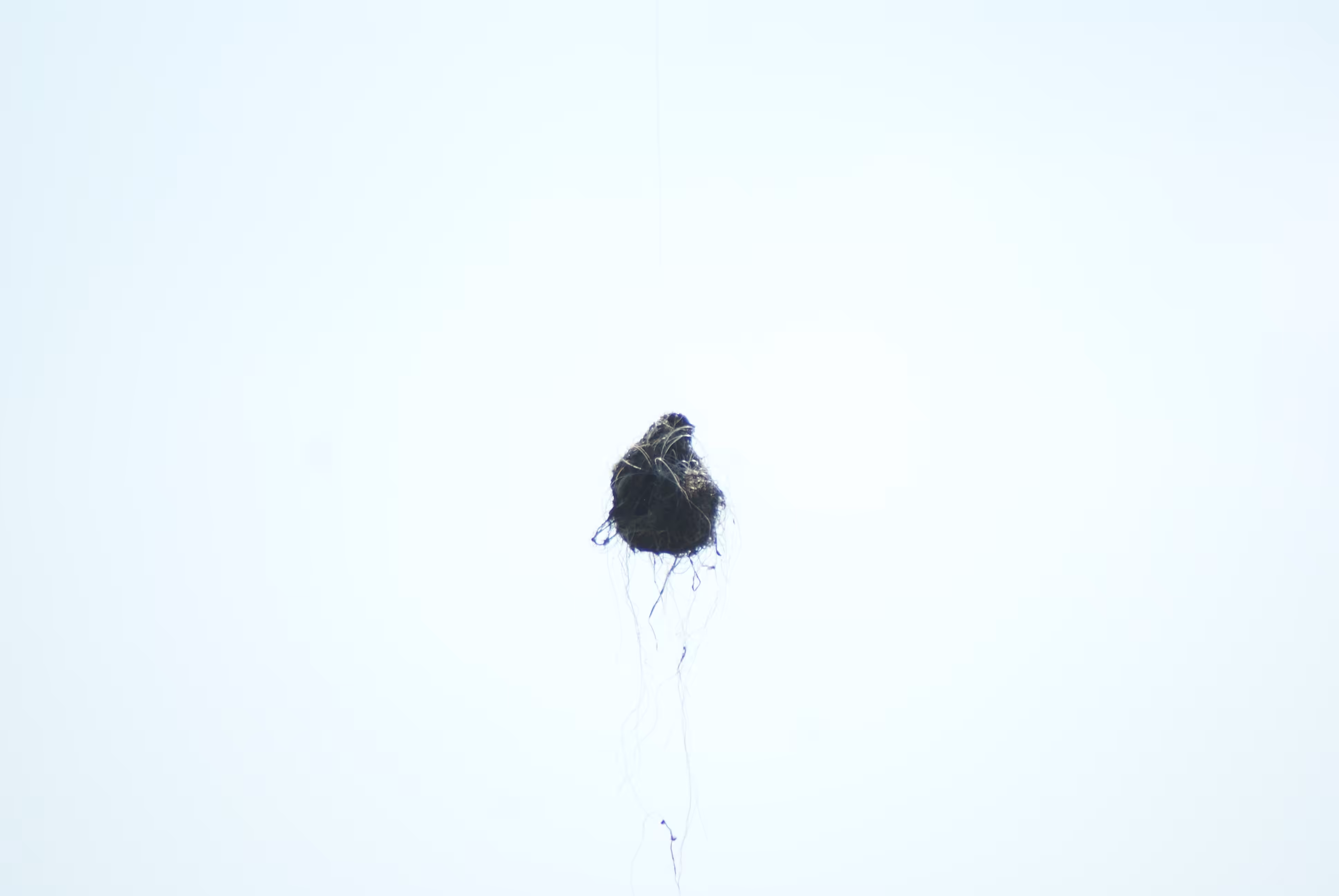 Wishful Thinking at an Unknown and Unacceptable Location, 2016