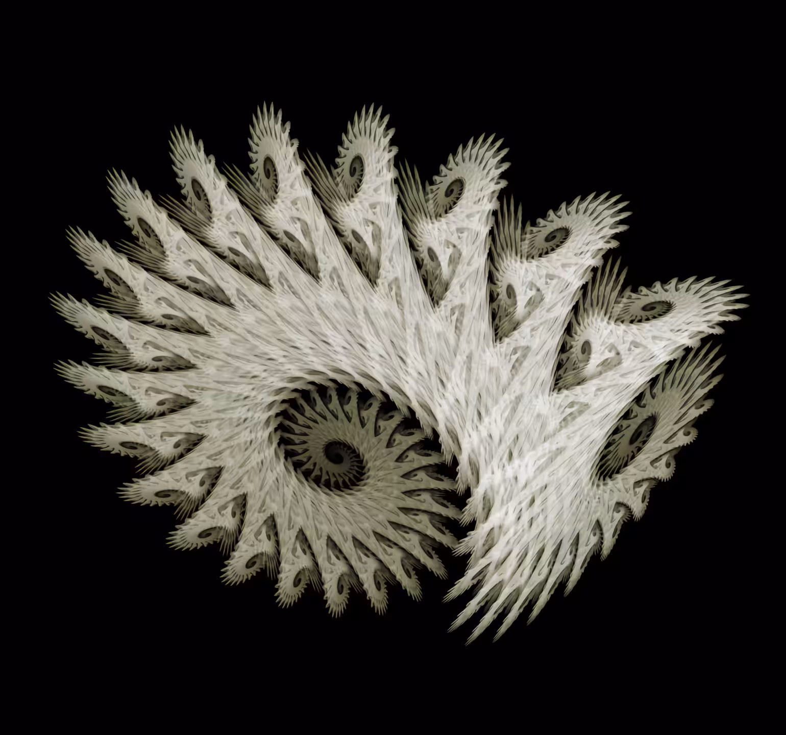Dragon Spine