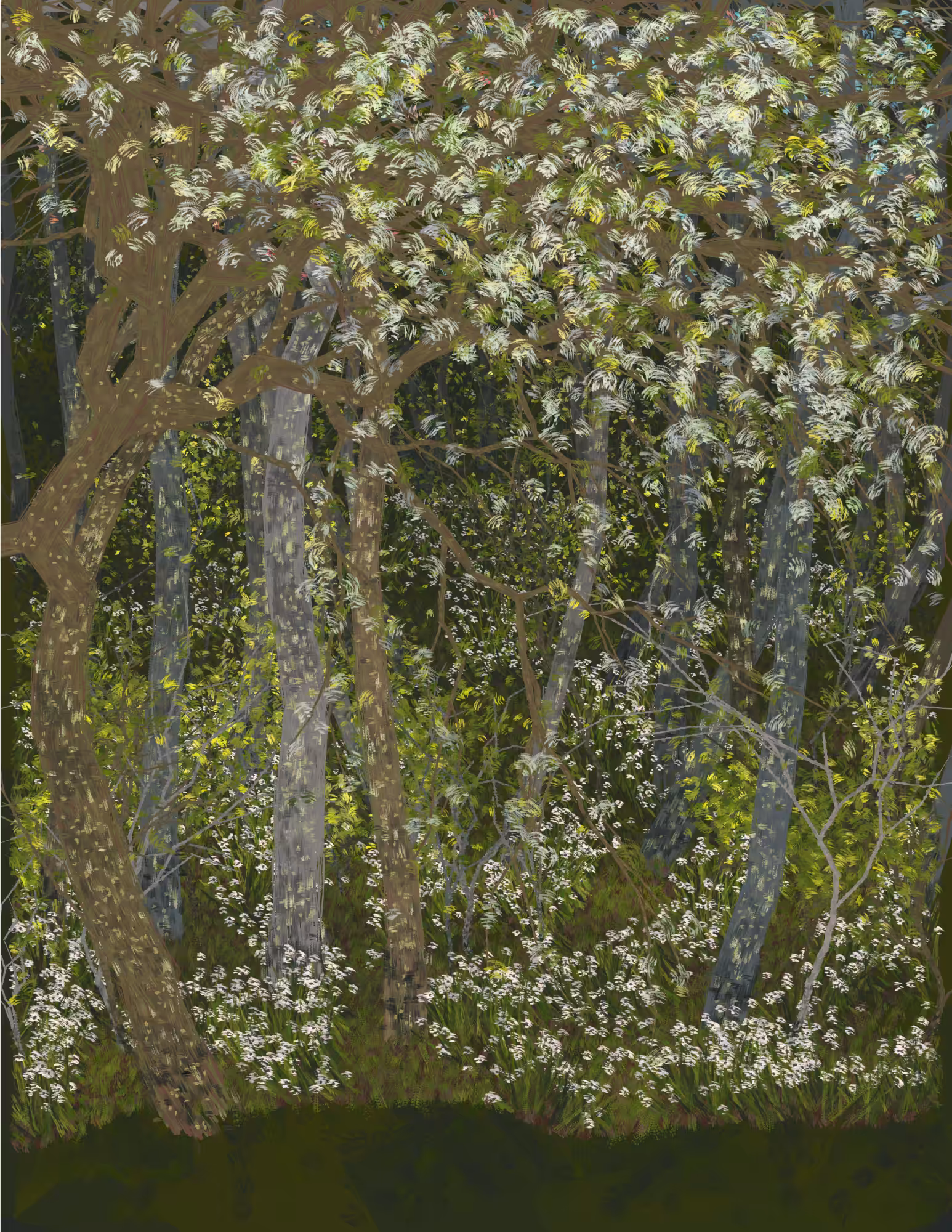 Deep Forest #123