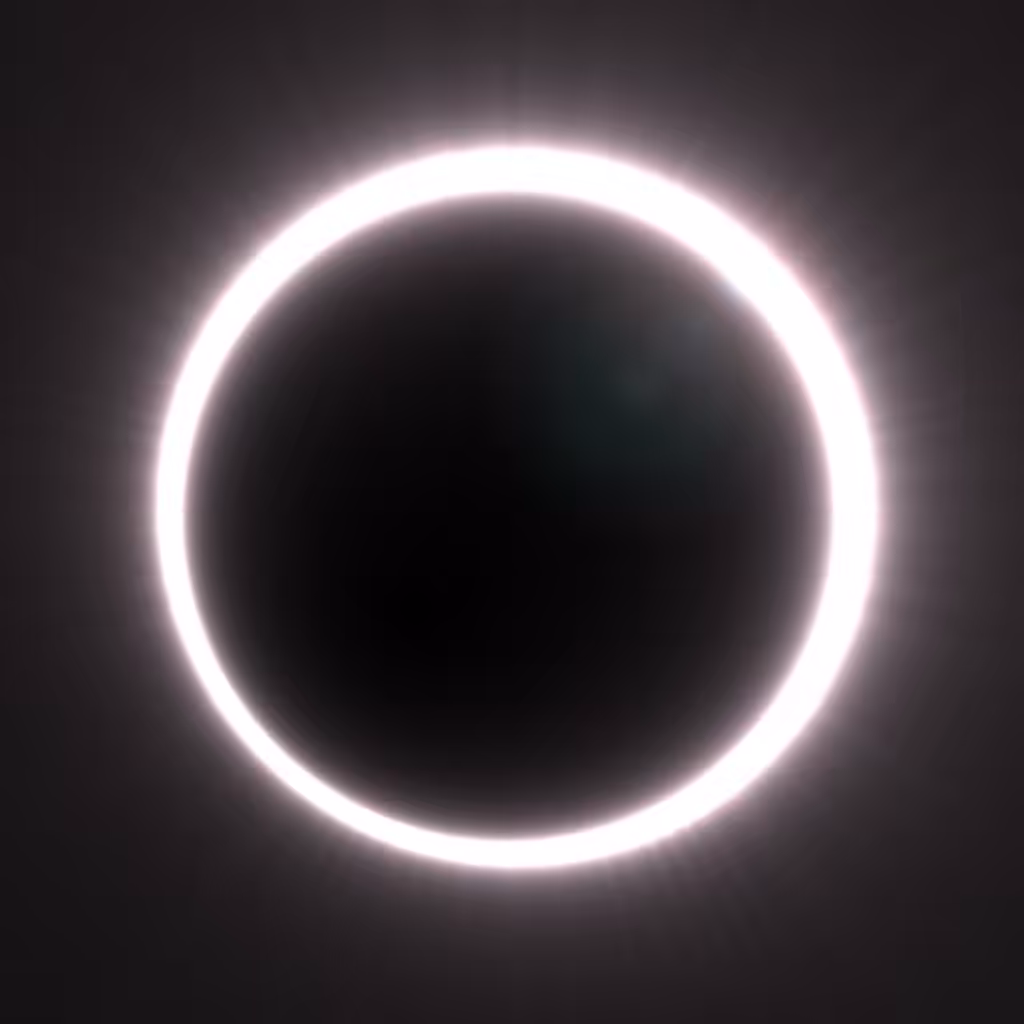 Totality #156