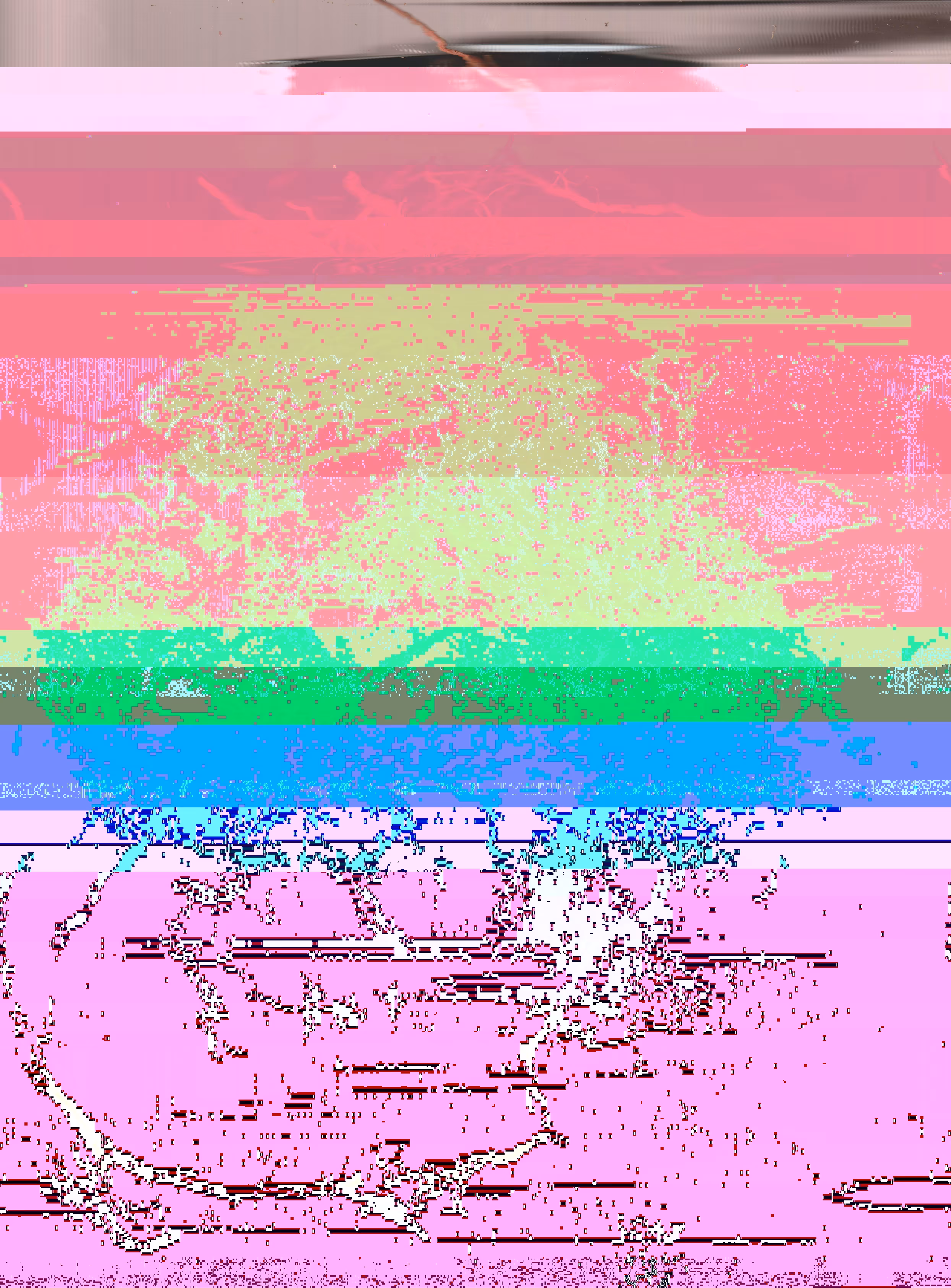 Blorgg Honklorph Malfonxia g[2]