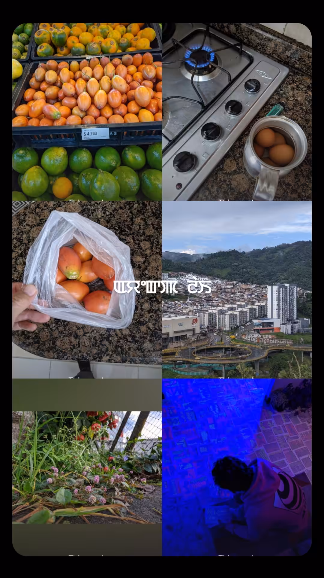 ꯑꯌꯦꯛꯄ ꯂꯥꯏ