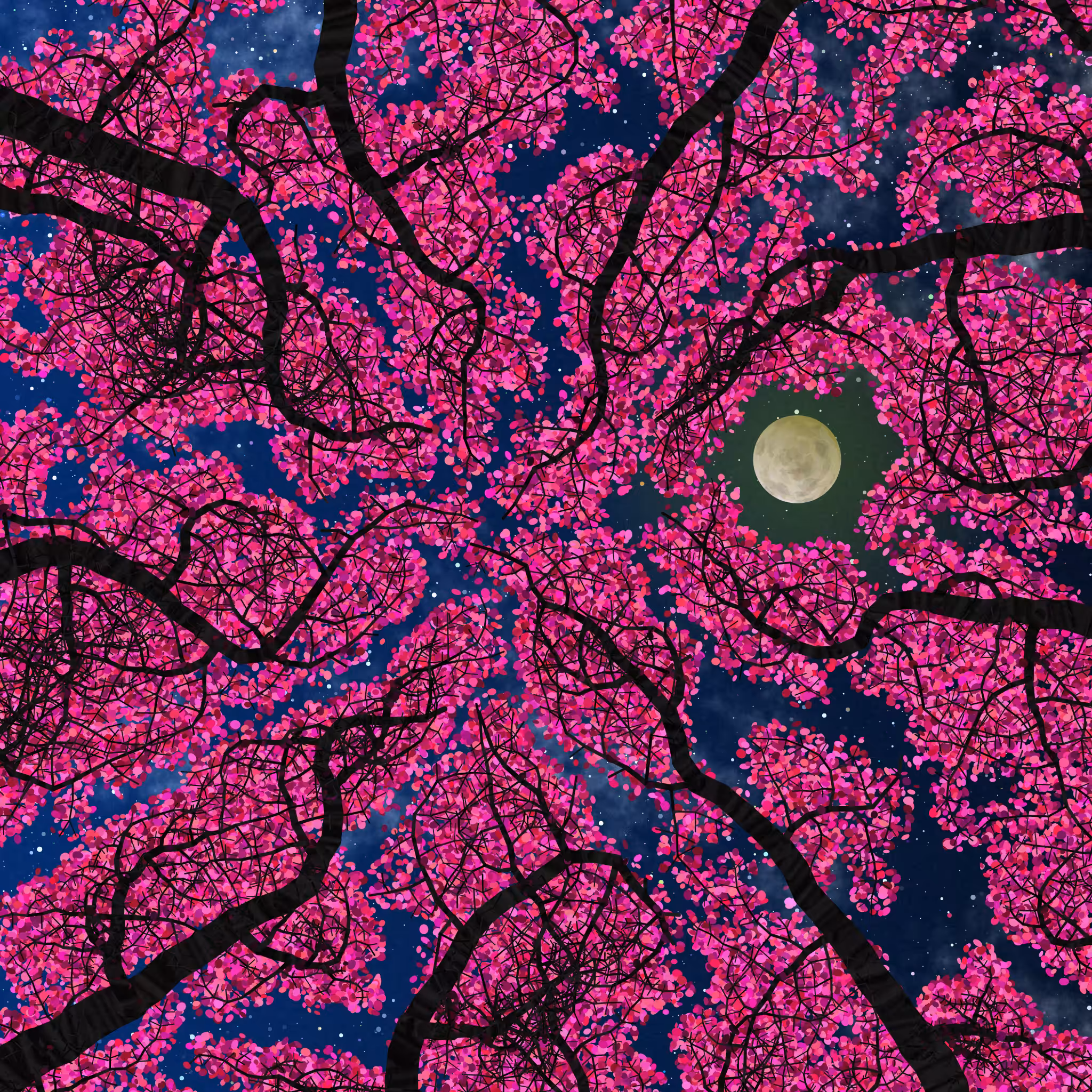 Tree Skyness #33