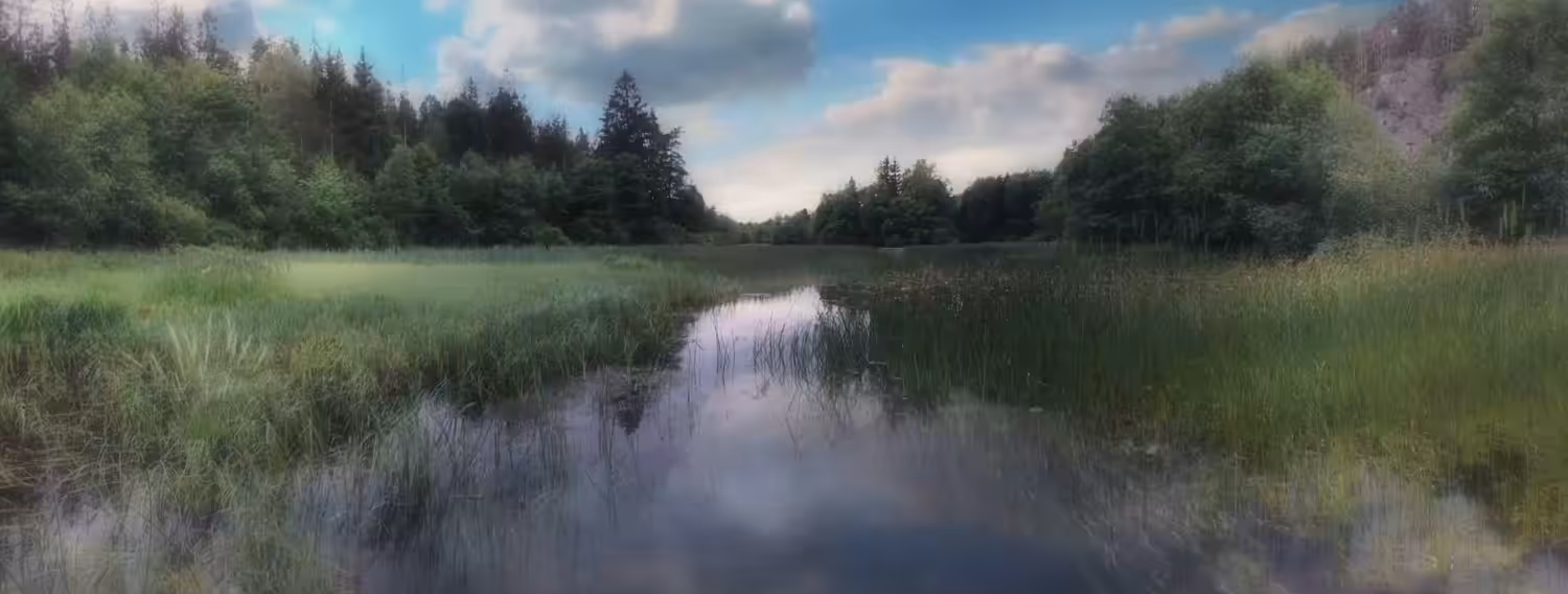 The Enchanted Land