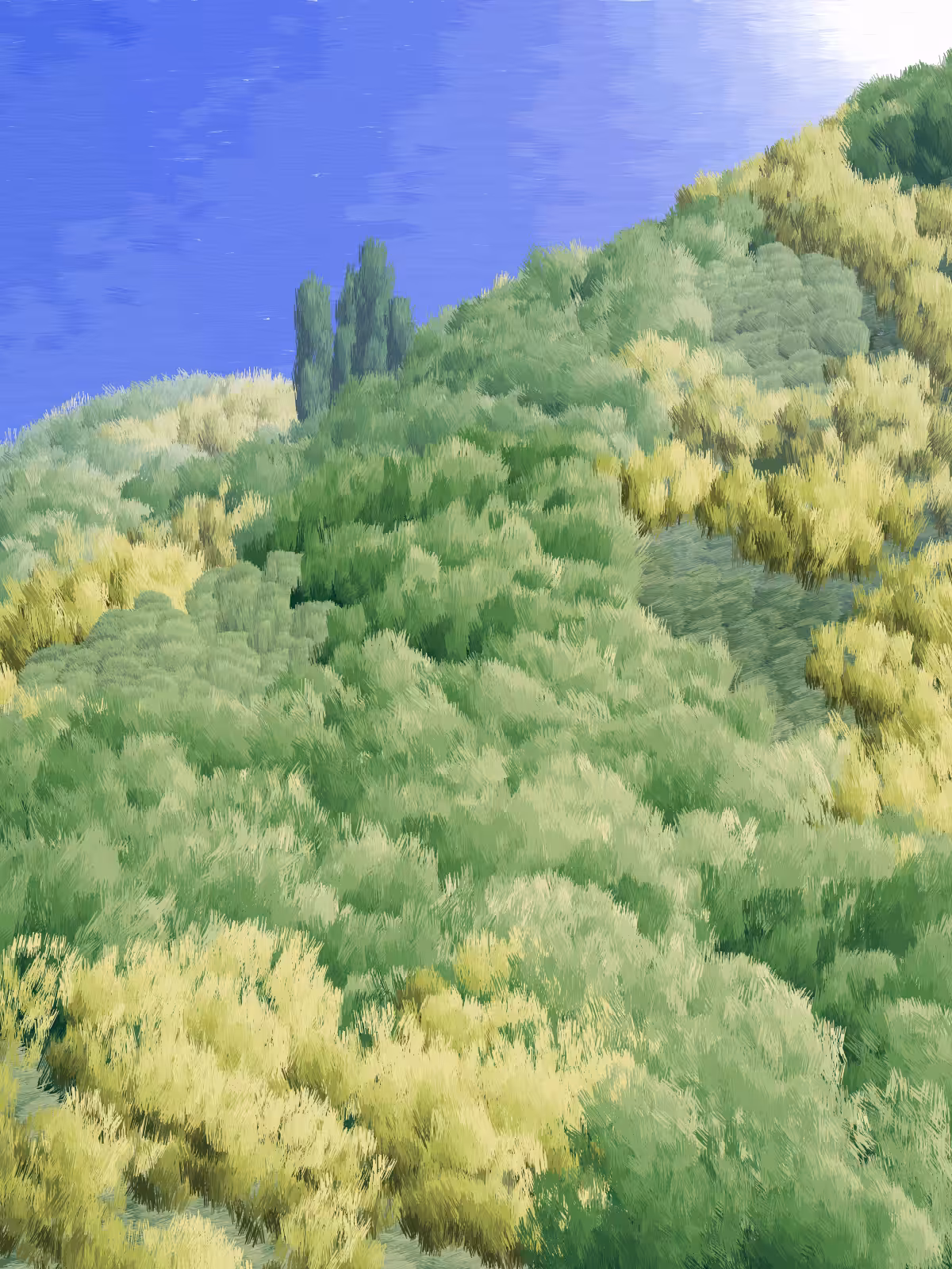 Provence #497