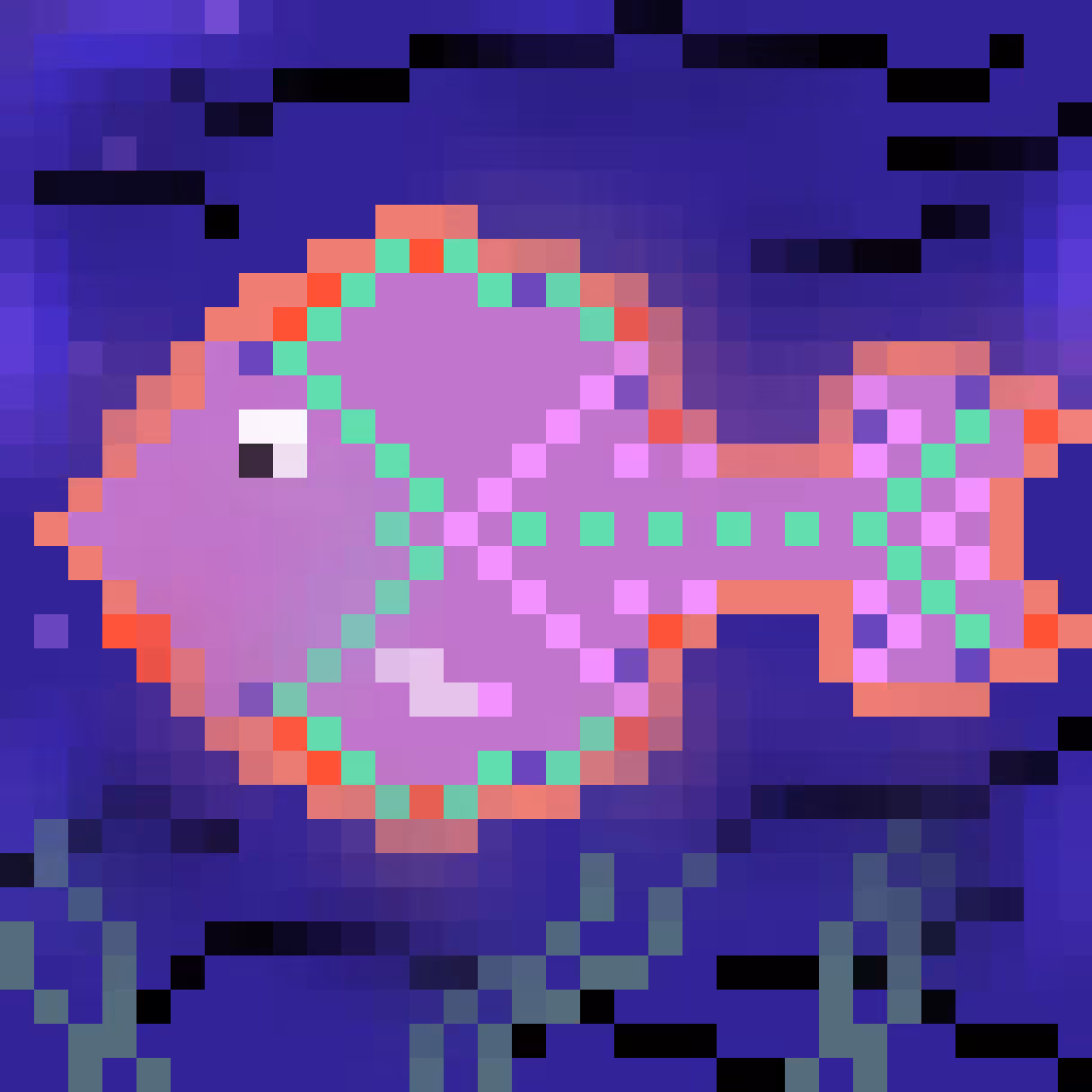 Pixie fish 3