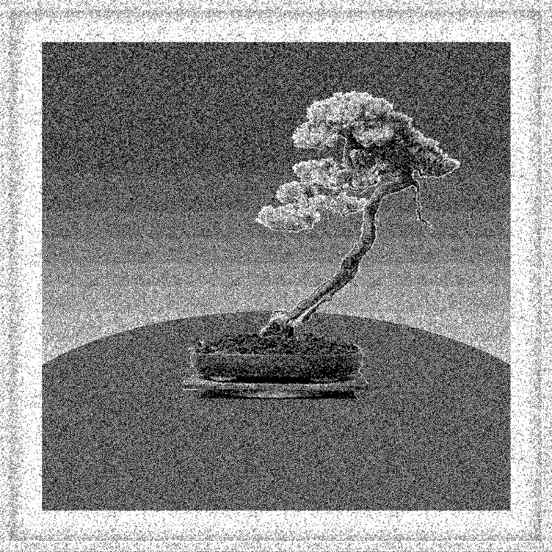 Bonsai Bonanza #530