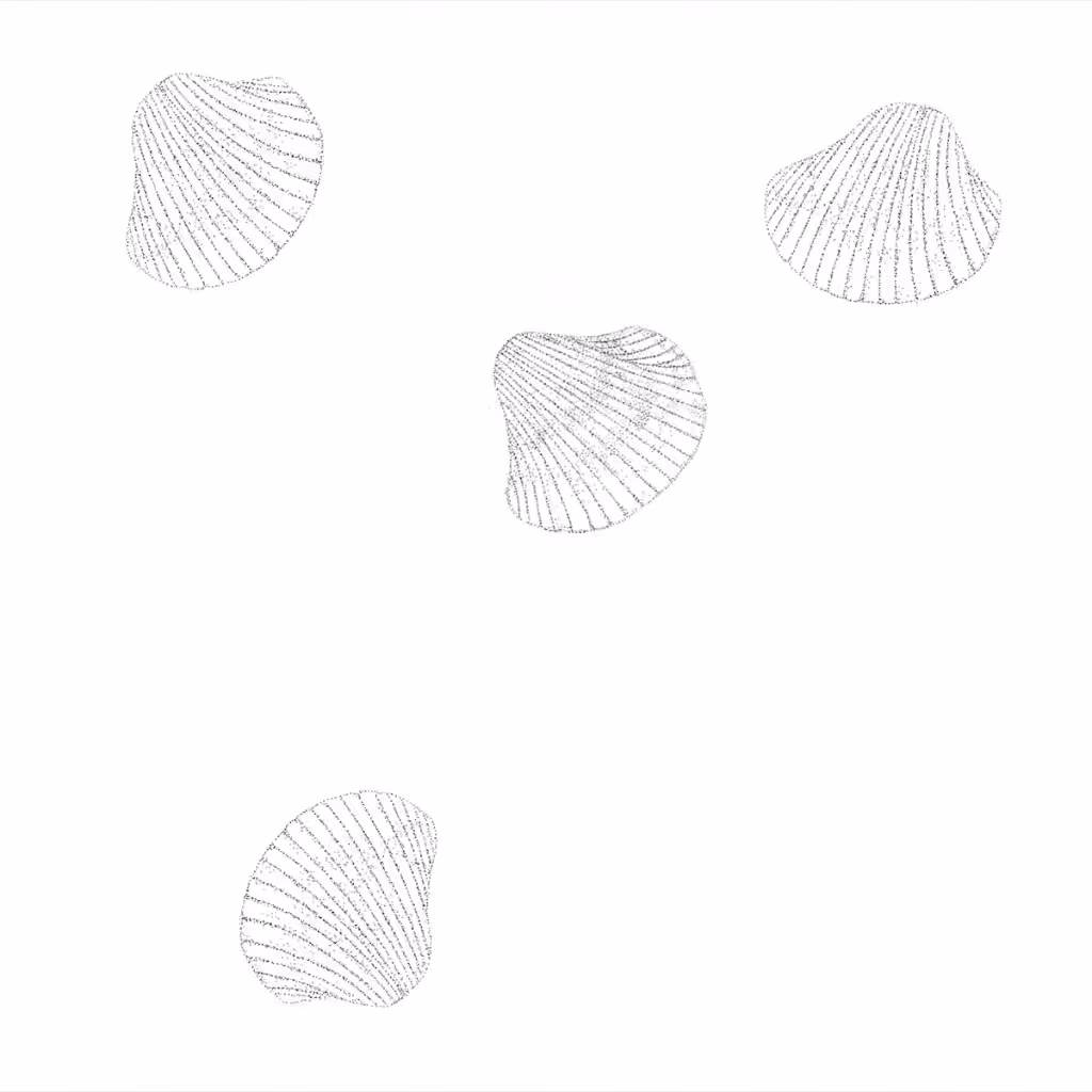 4 Shells