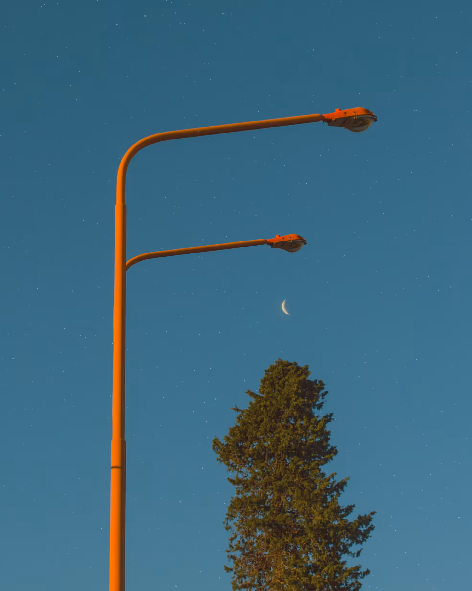 Of Light Poles #13
