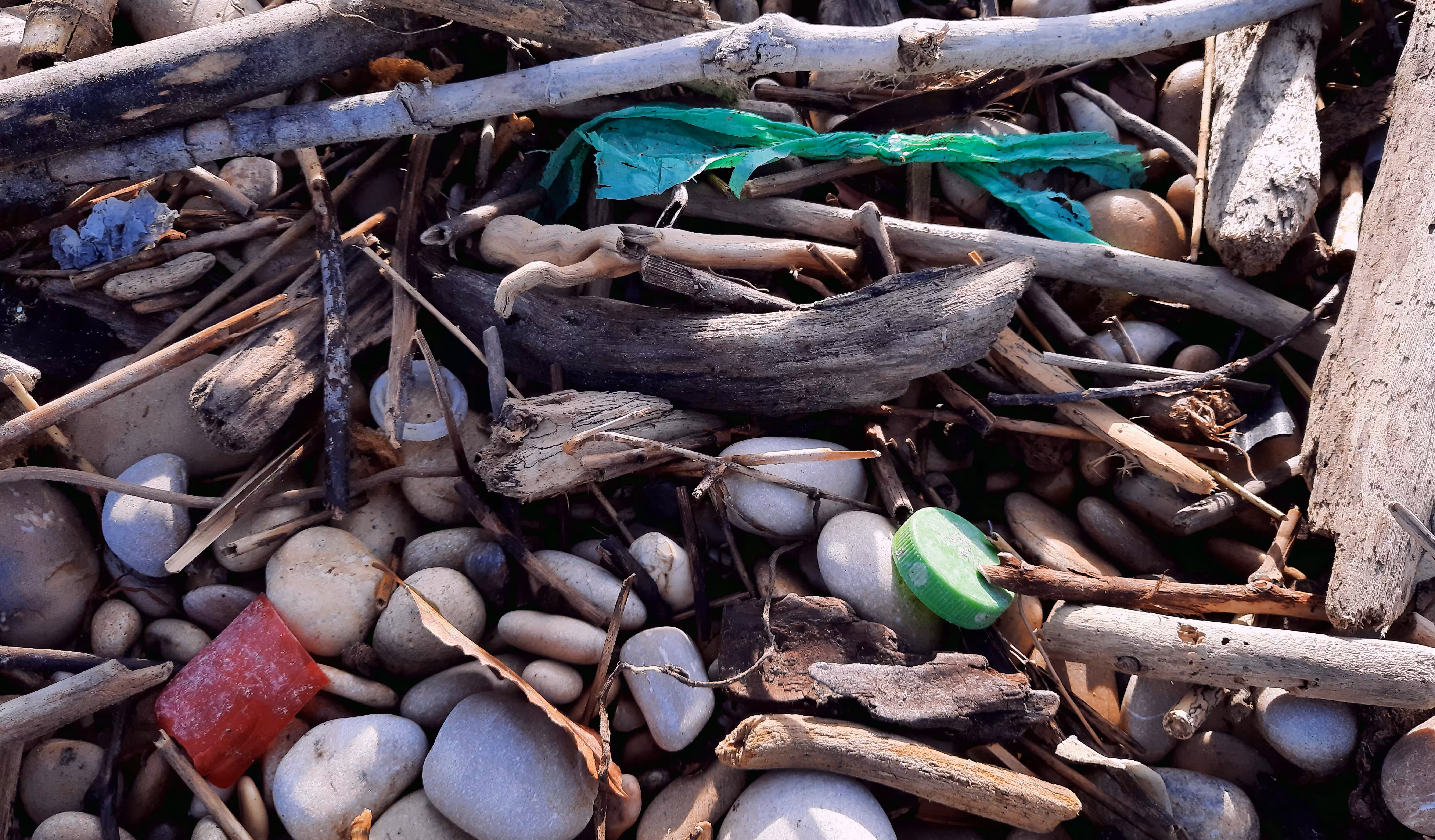 PERIODO PLASTICO #40