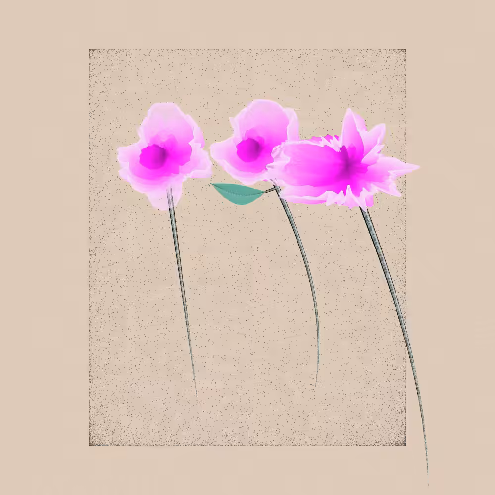 Magnolia #97