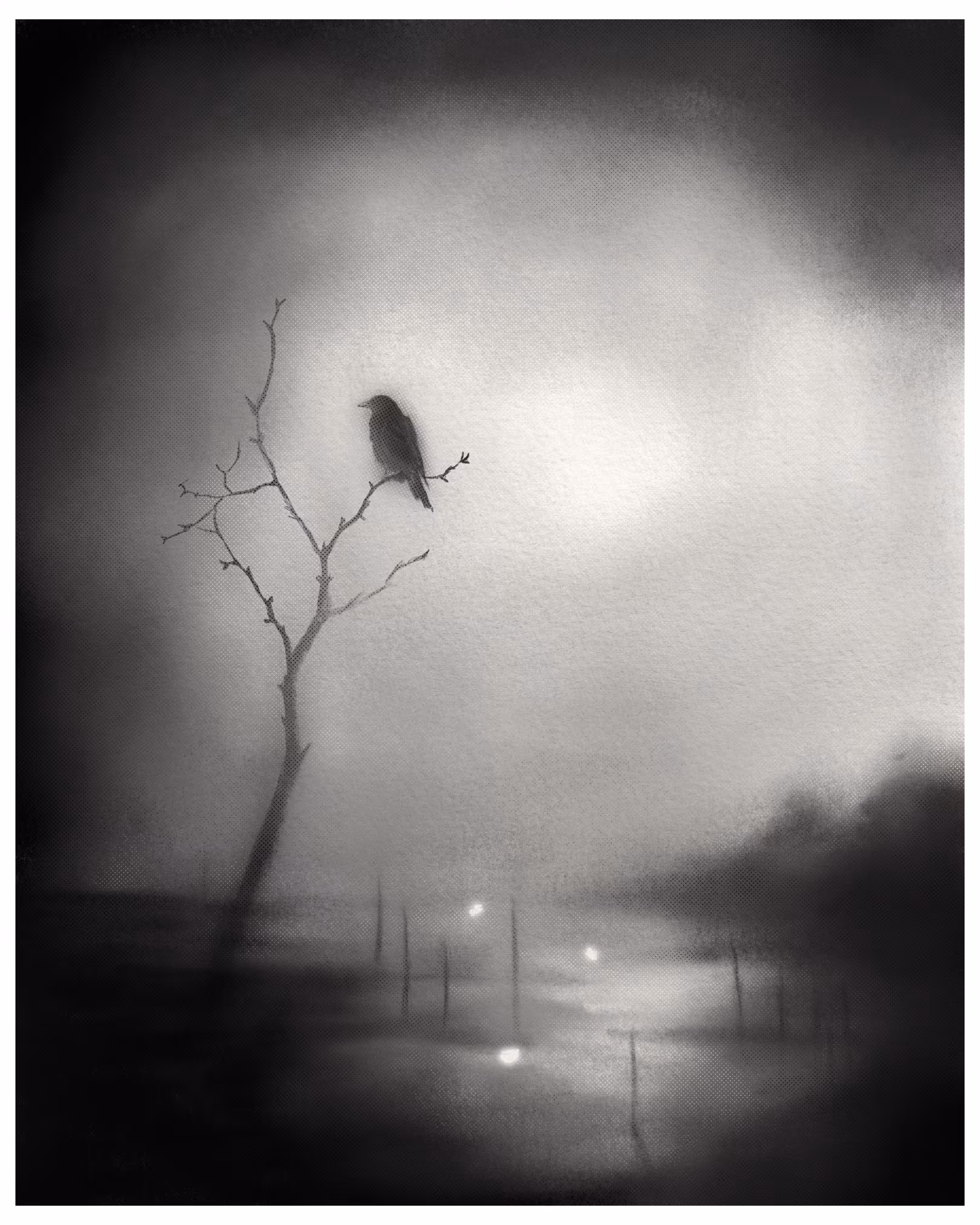 Monochrome: The Weight of Silence