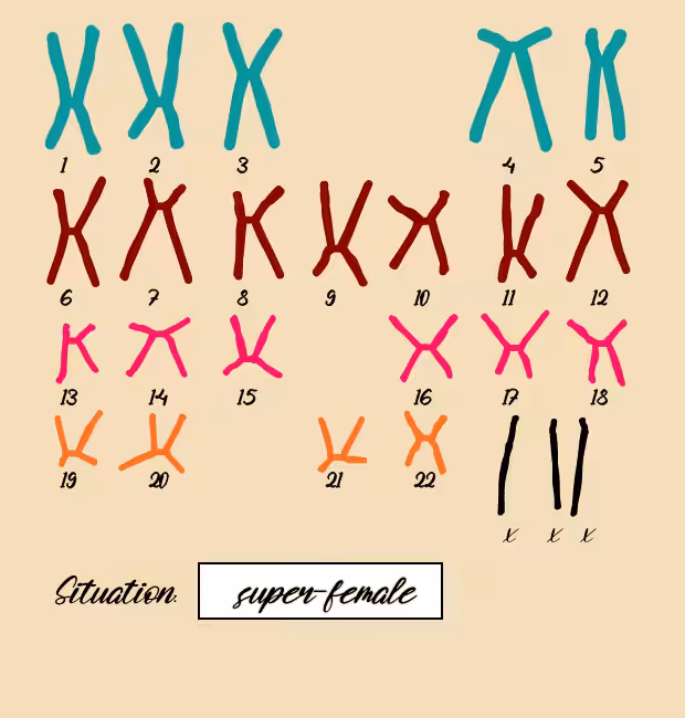 "Karyotype" #19