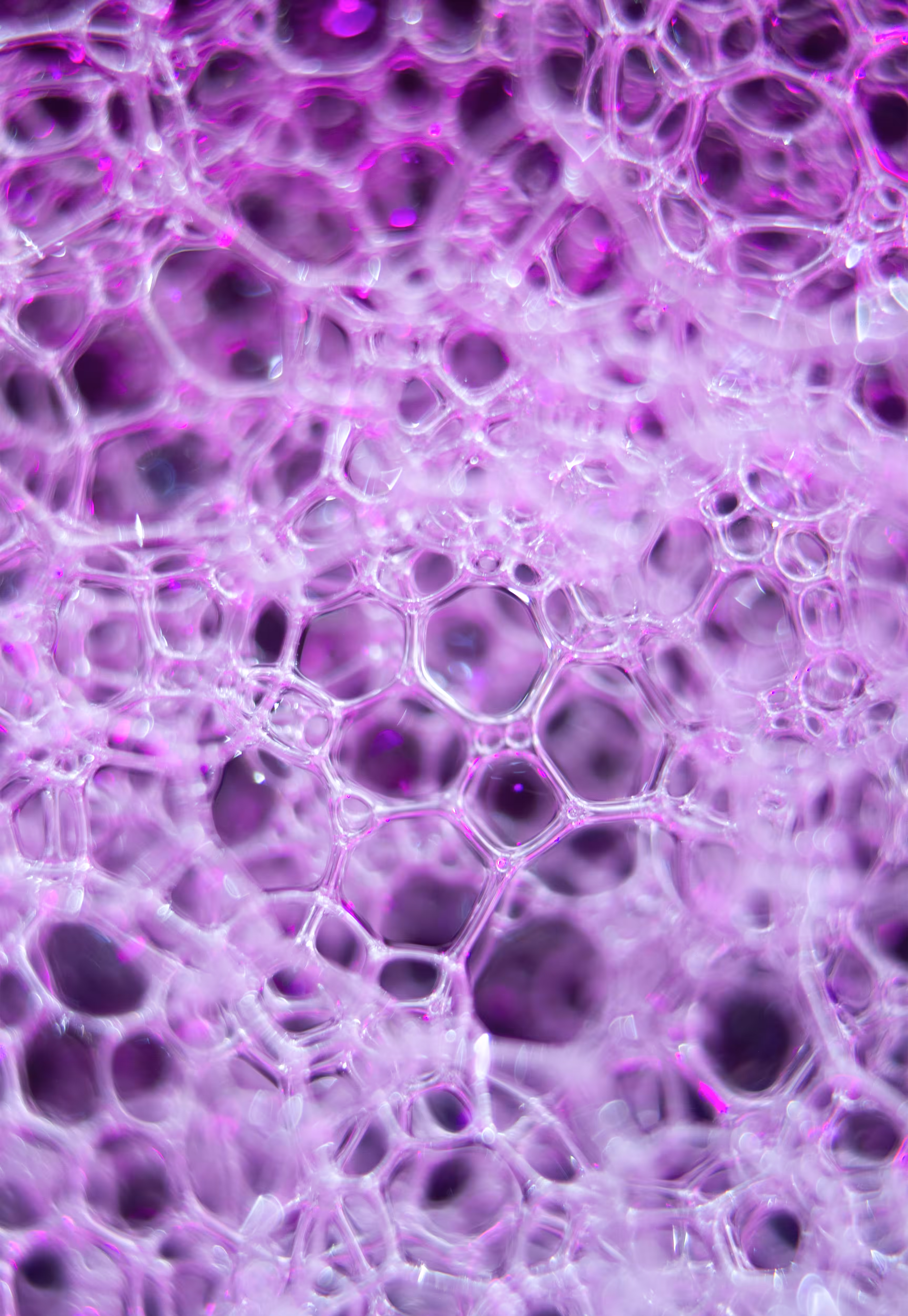 Abstract World of Soap Bubbles: #101 Bubbles