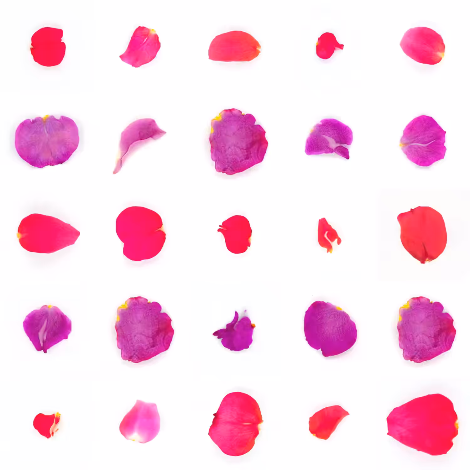 Infinite Petals 5x5#20871
