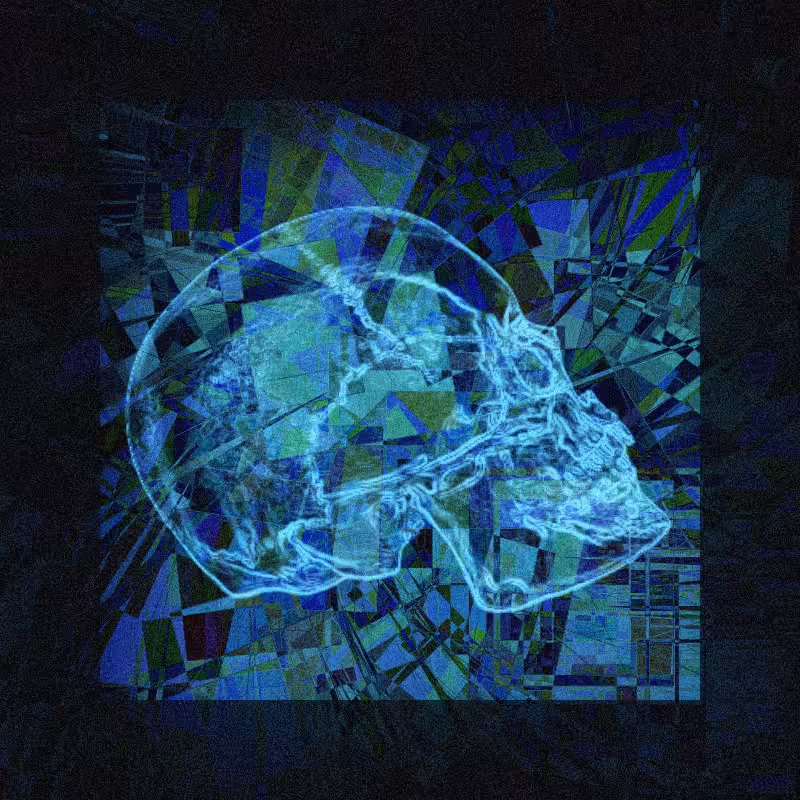 X-ray of a skull #11