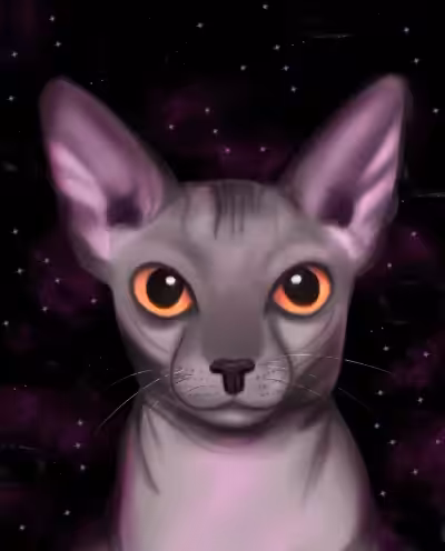 Angry Sphynx cat